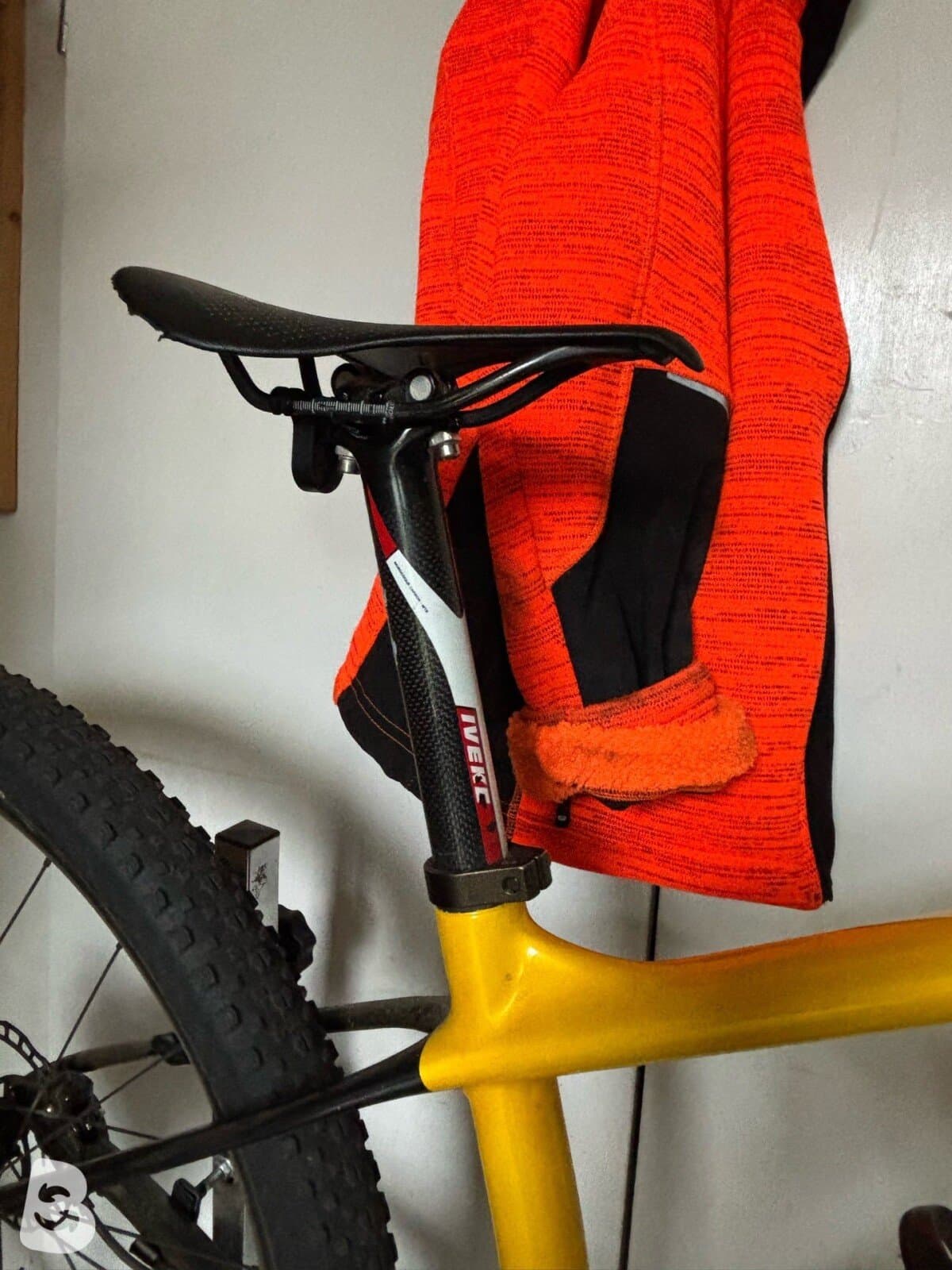 Title MTB Tulip 2024