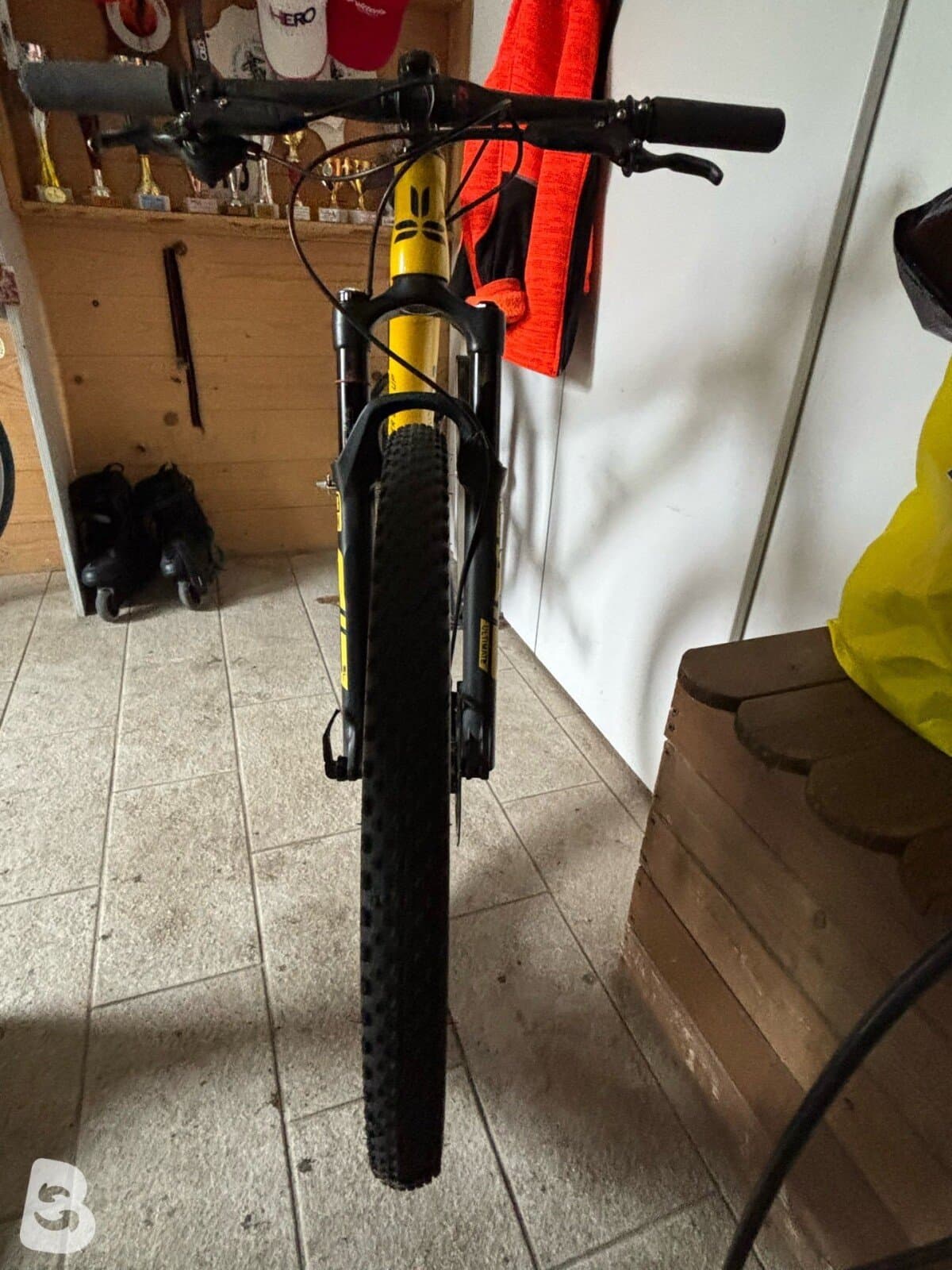 Title MTB Tulip 2024