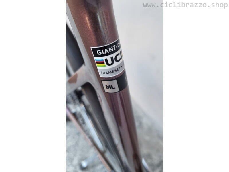Giant Propel, Advanced 1 2023