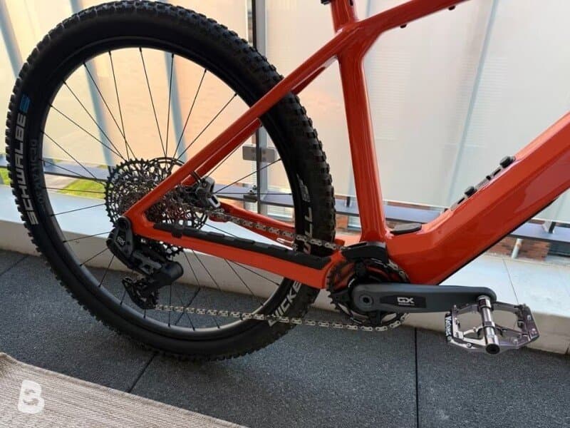Rose Bonero Plus 3 2024
