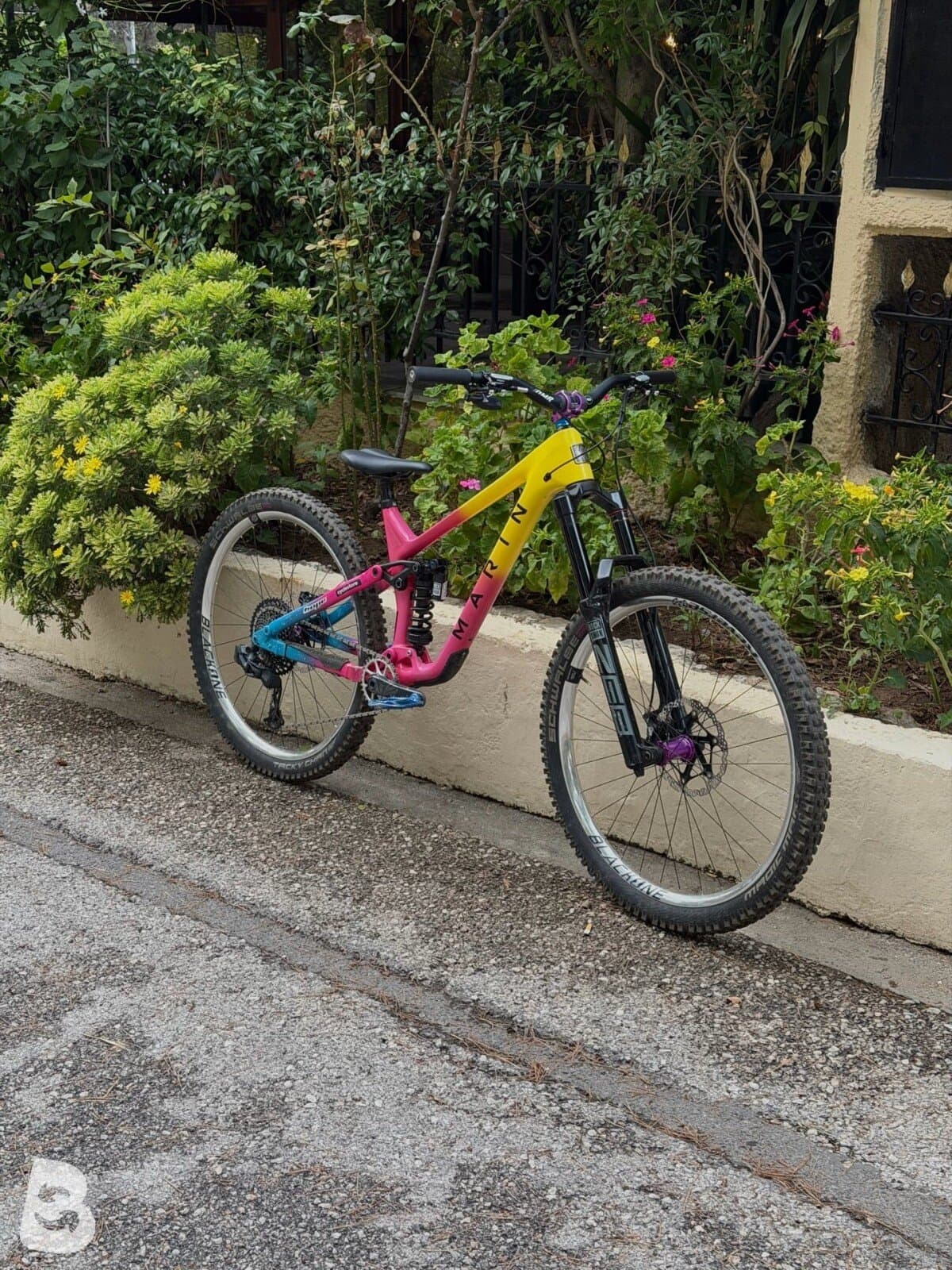 Marin Alpine Trail Carbon Fun² 2024