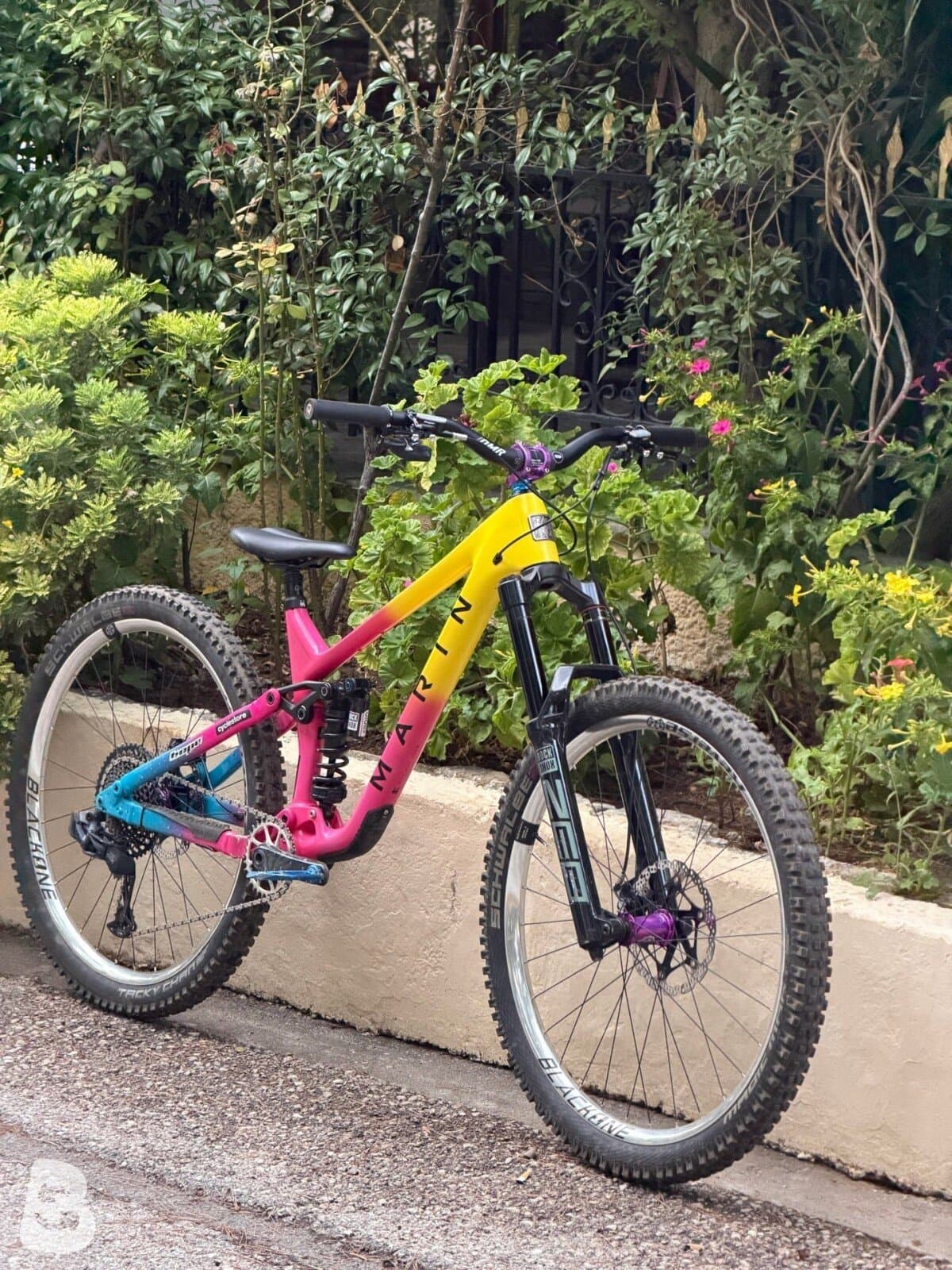 Marin Alpine Trail Carbon Fun² 2024