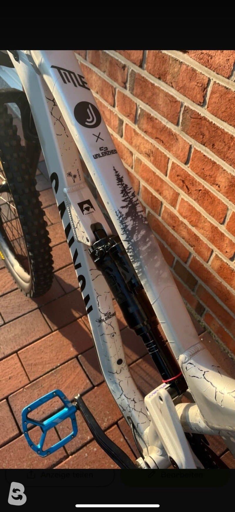 Canyon Torque Mullet AL 5 2023