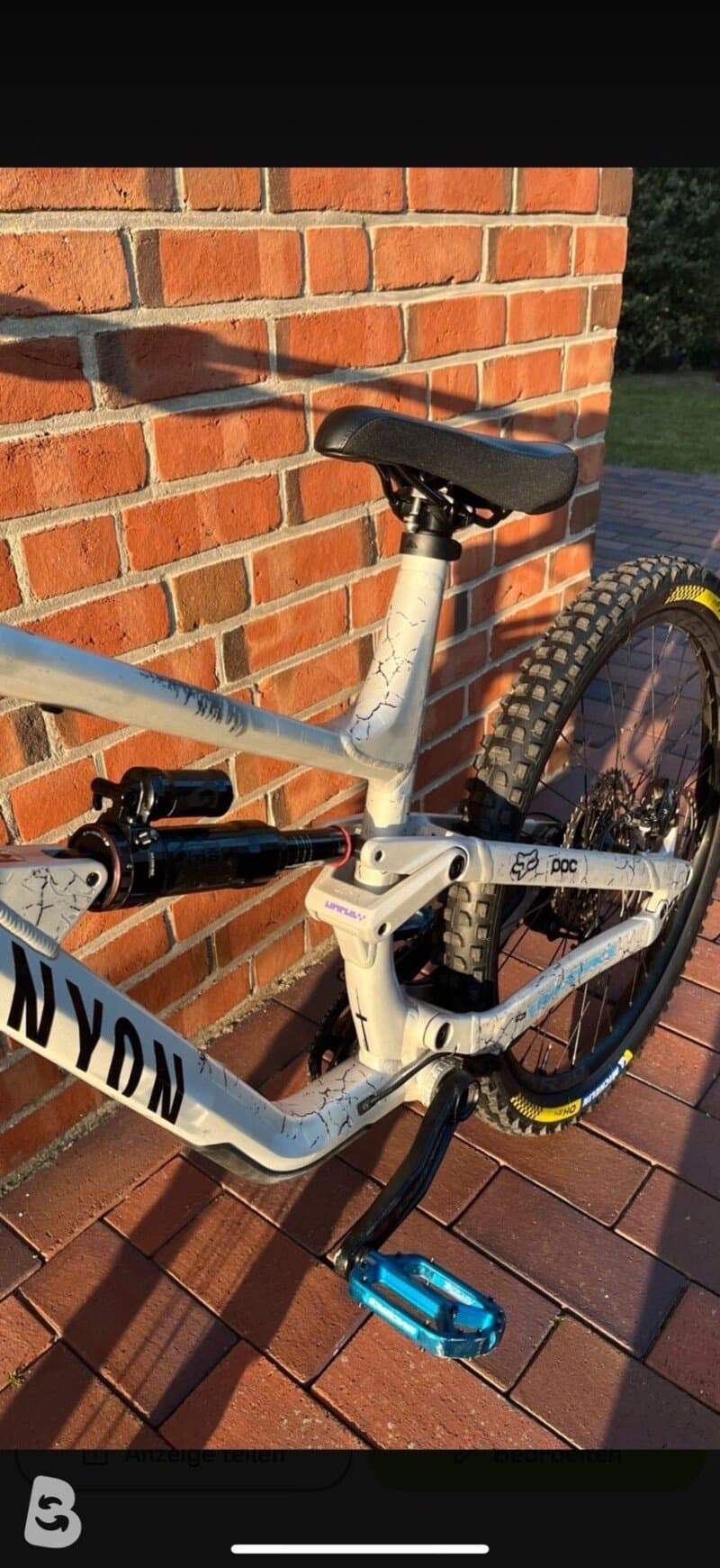 Canyon Torque Mullet AL 5 2023