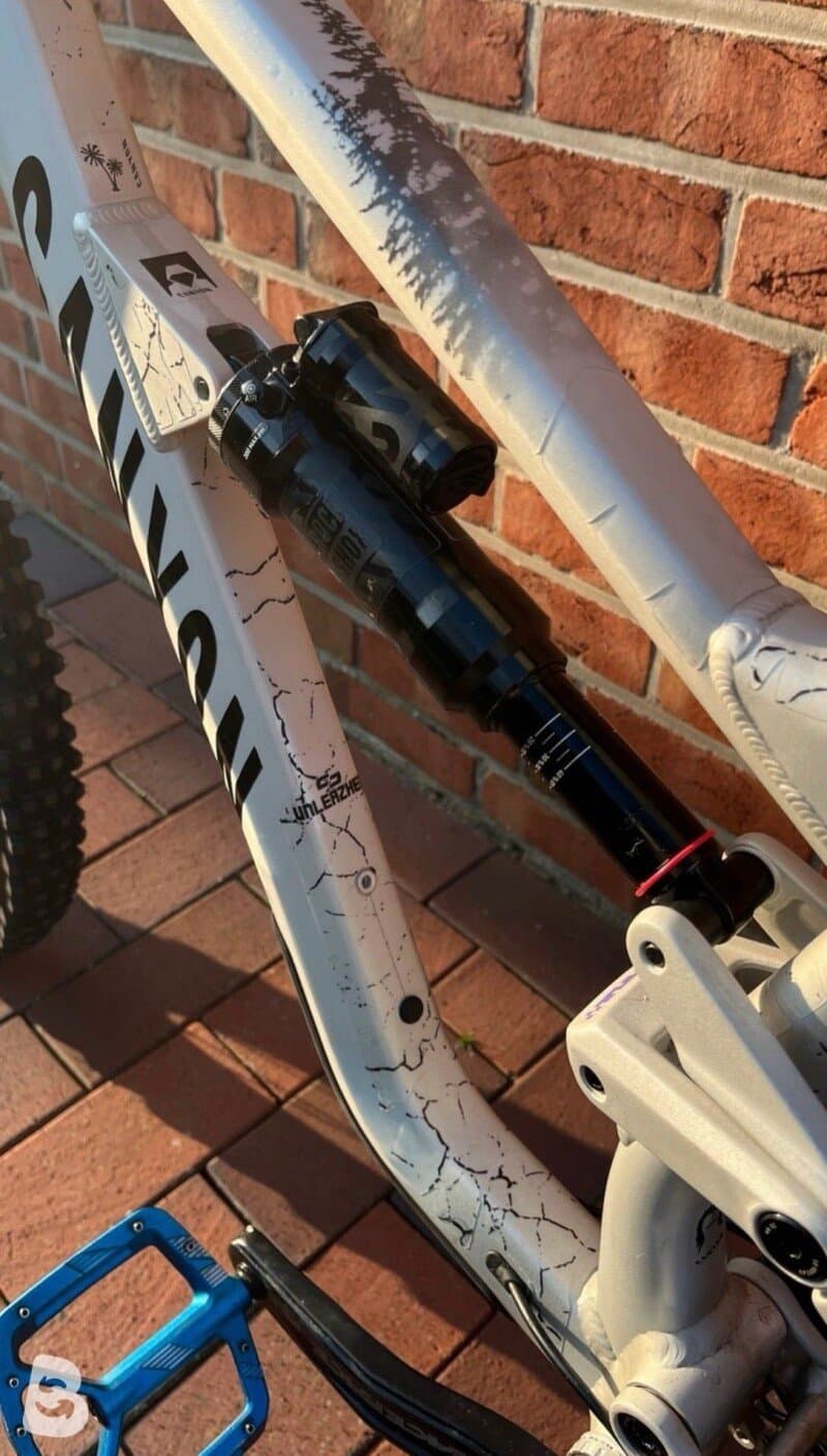 Canyon Torque Mullet AL 5 2023