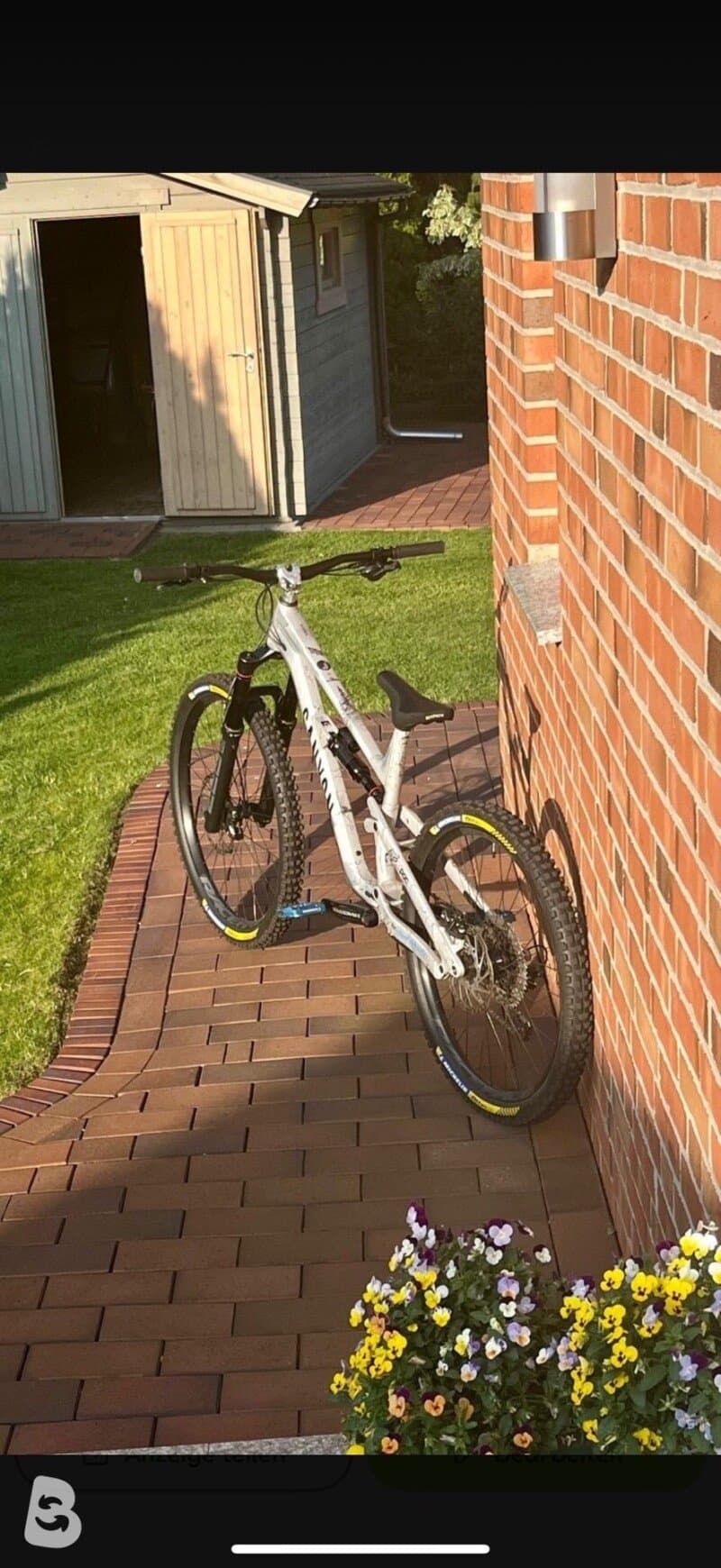 Canyon Torque Mullet AL 5 2023