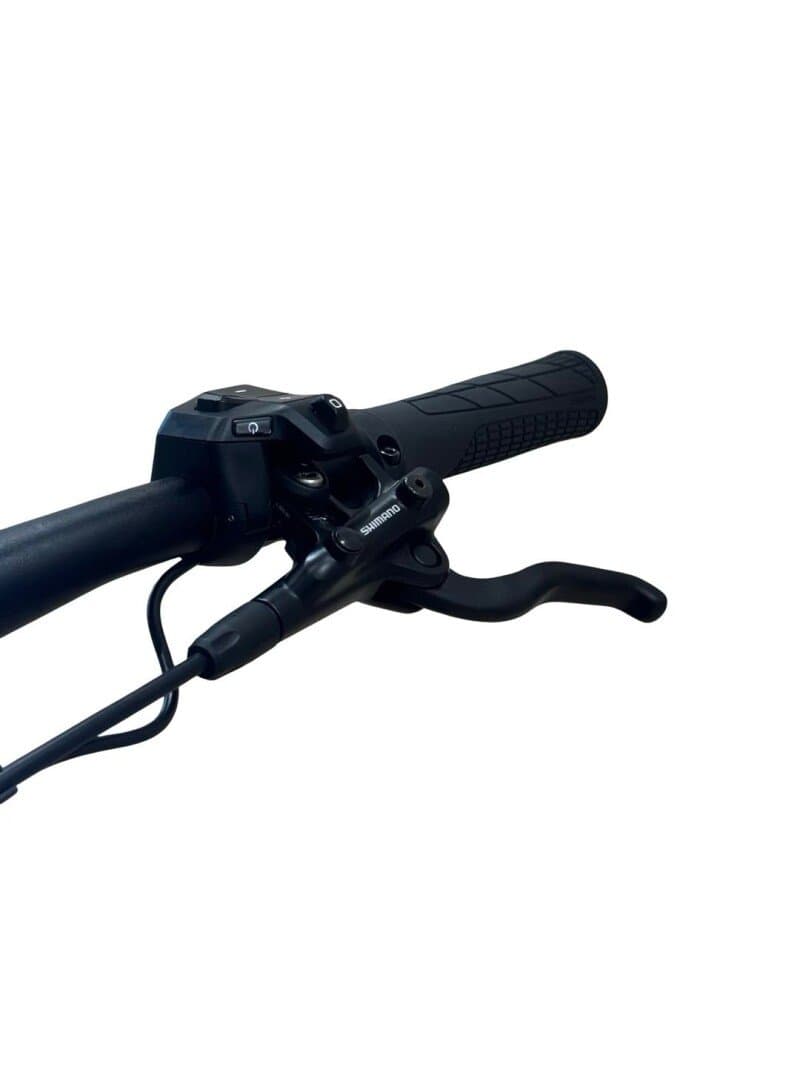 Flyer Goroc2 2.10 Shimano Deore 2022 2022