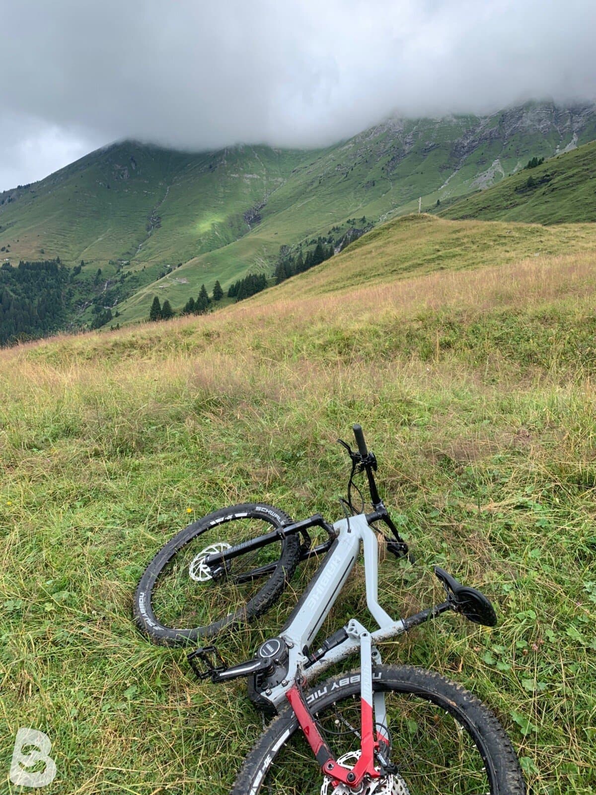 Haibike AllTrail 4 29 2022