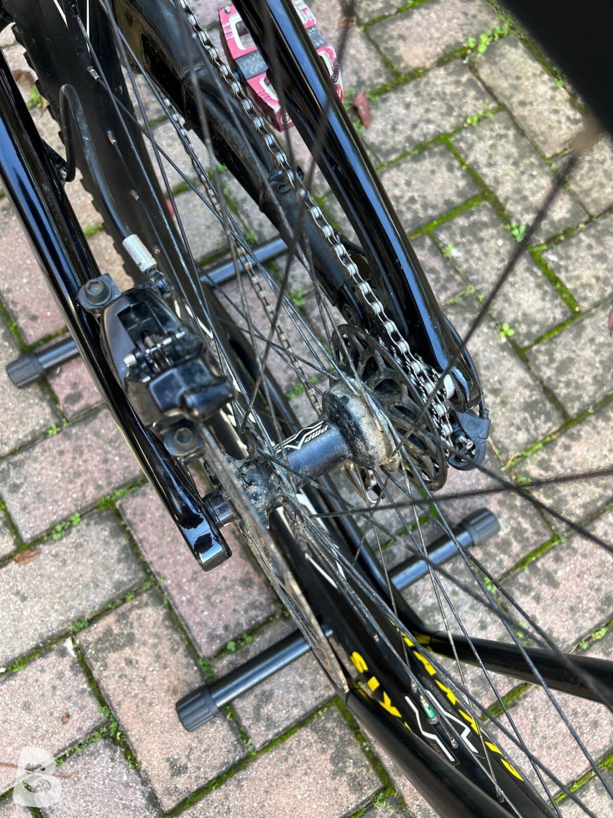 Canyon Sender CFR Mullet Underdog 2024