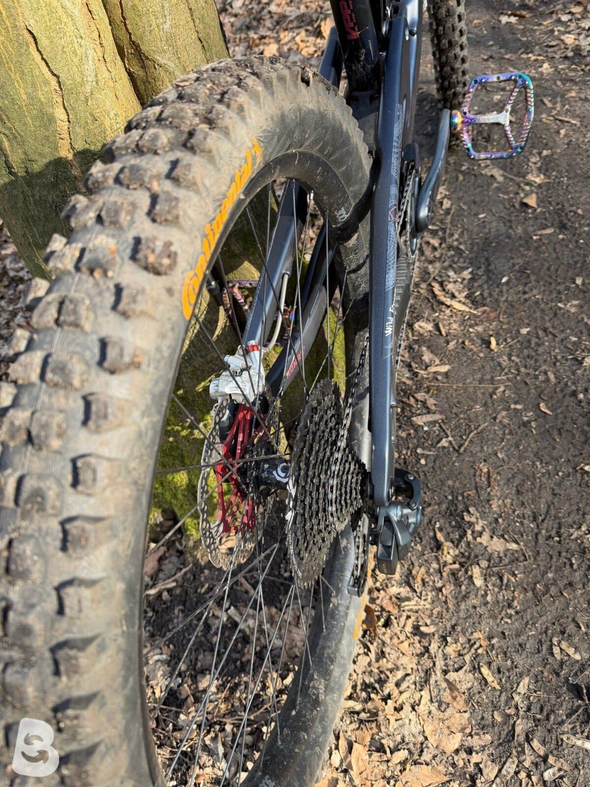 Santa Cruz Nomad V6 2024