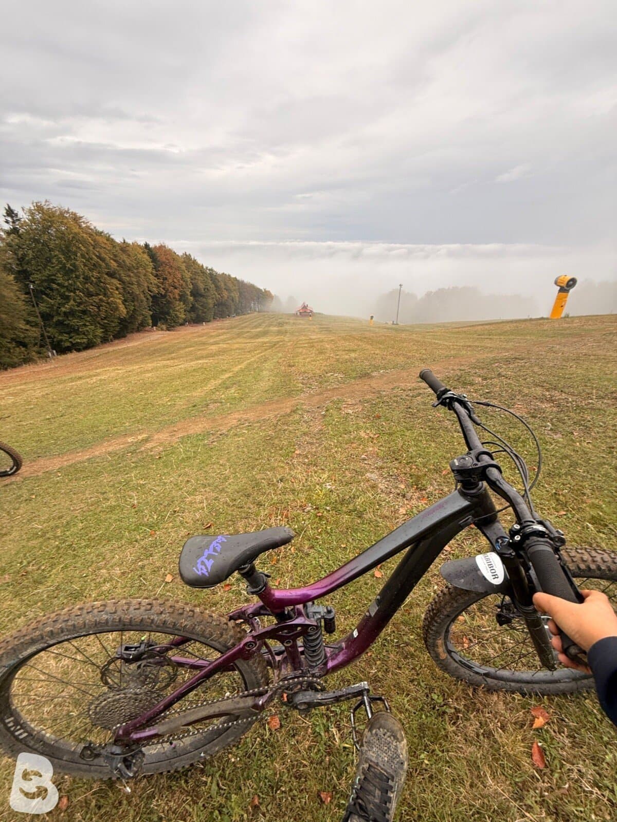 Giant Reign SX 2020