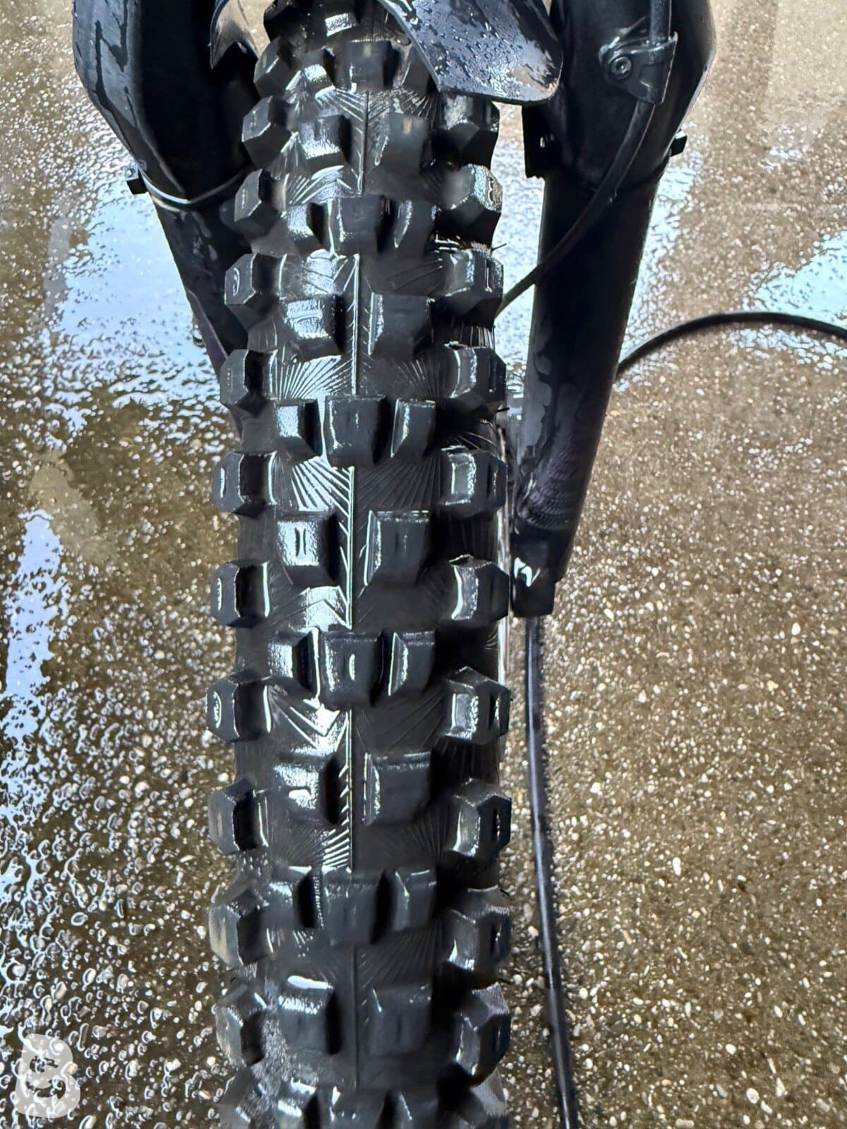 Giant Reign SX 2020