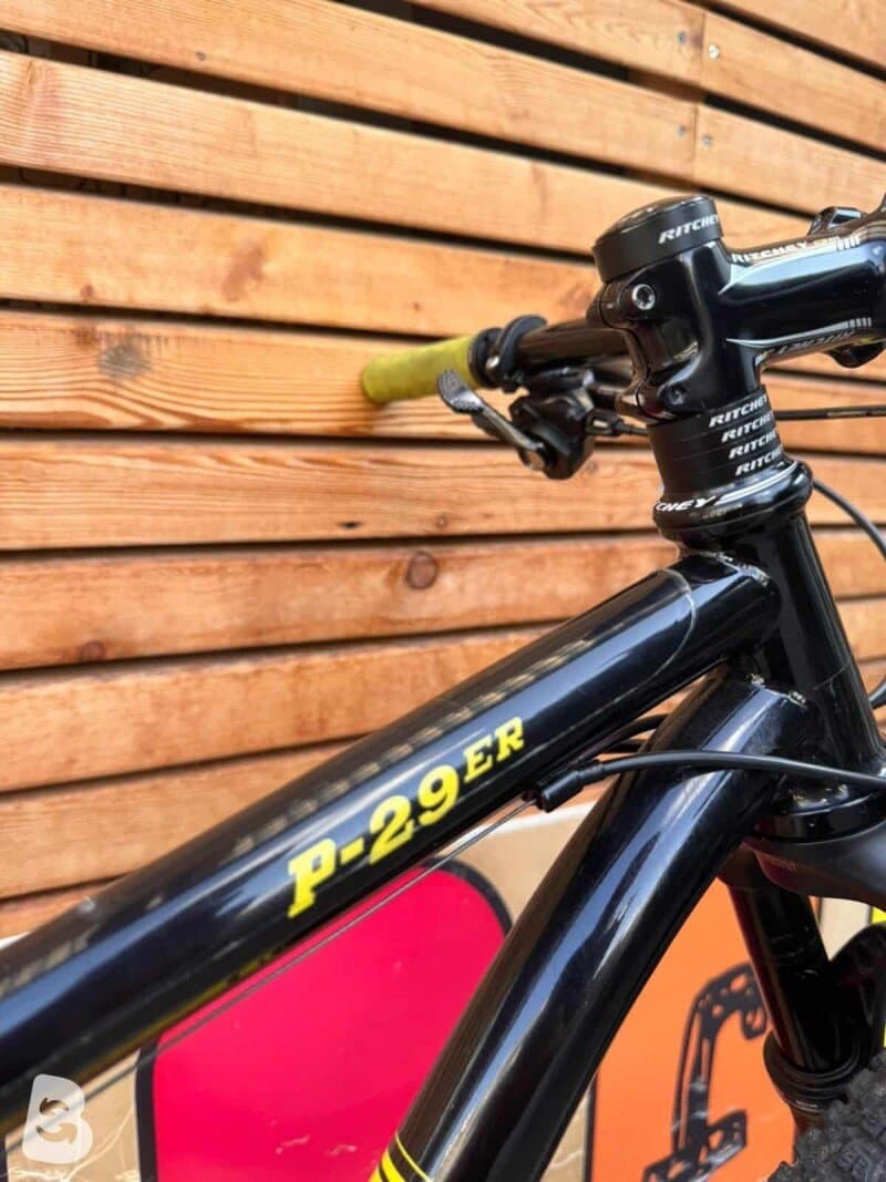 Ritchey P29 2021