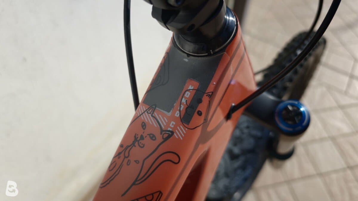 Santa Cruz Nomad Carbon CC X01 2020
