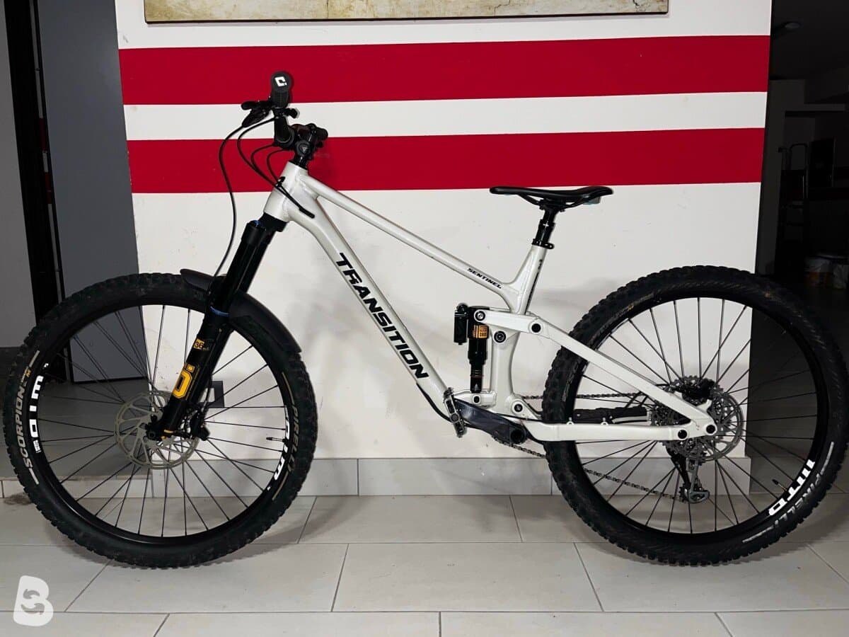 Transition Sentinel Custom 2025