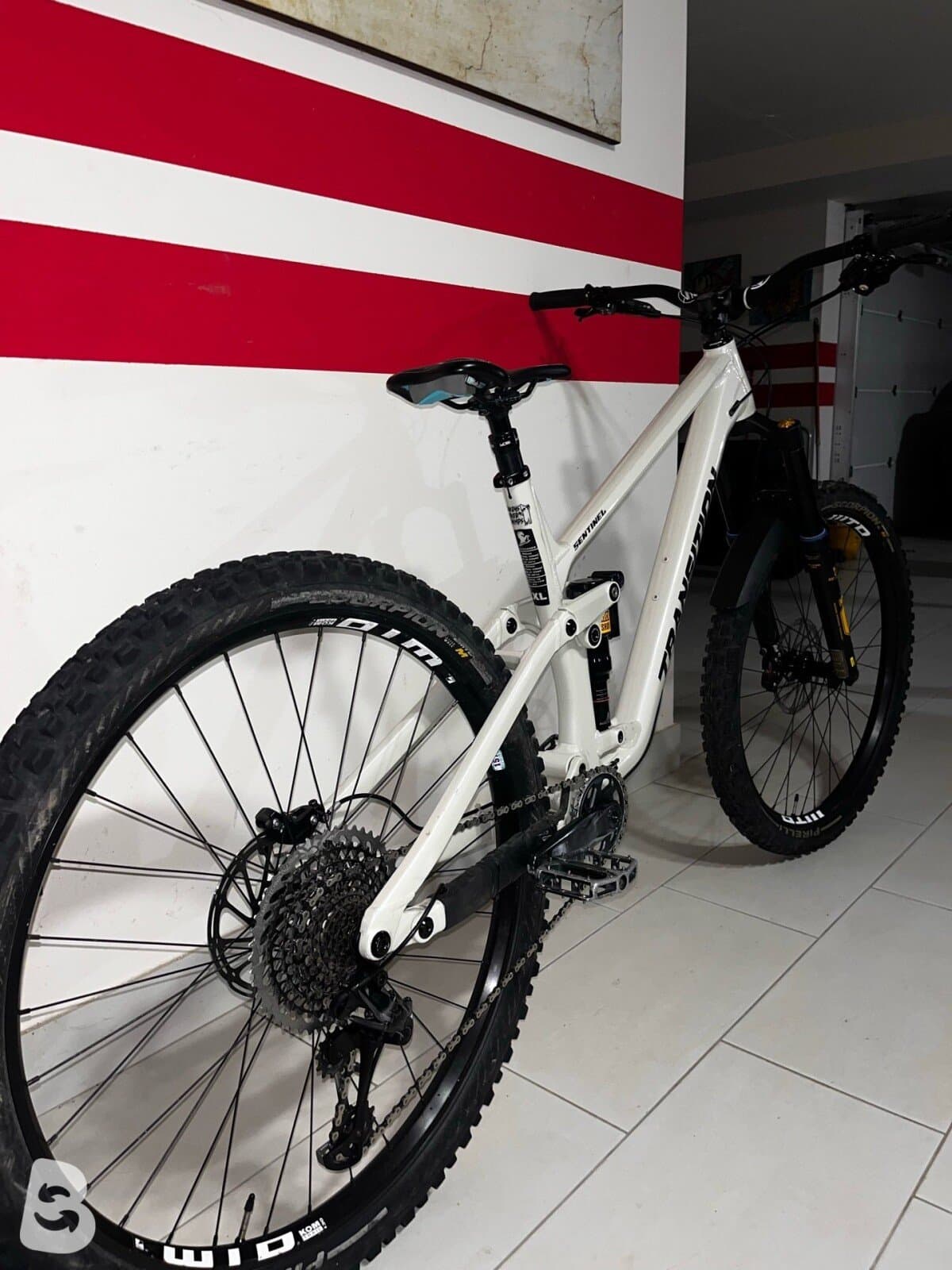 Transition Sentinel Custom 2025