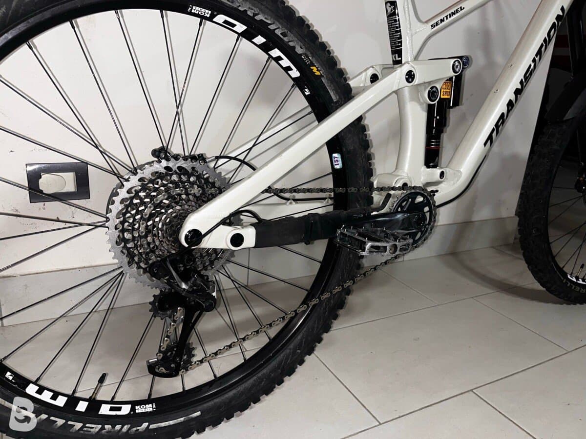 Transition Sentinel Custom 2025