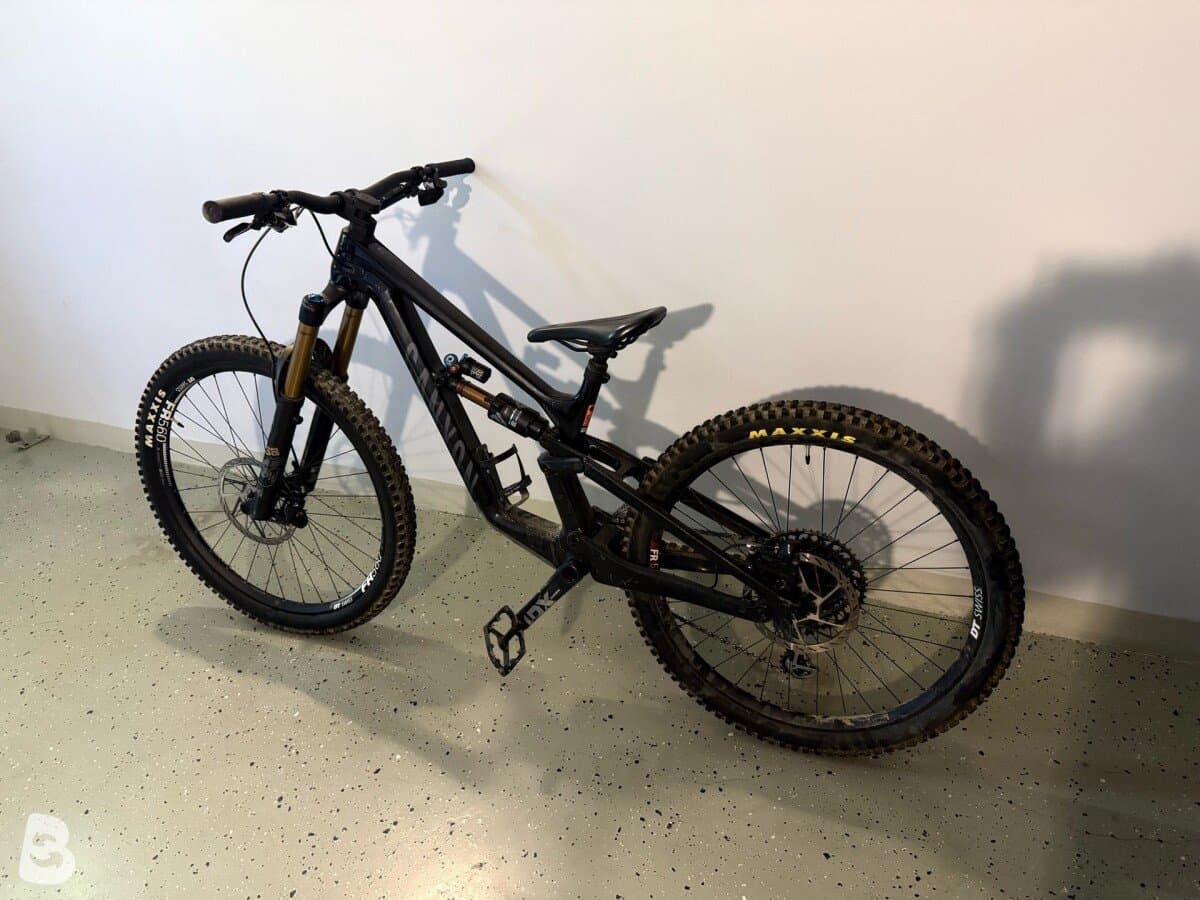 Canyon Torque 29 CF 9 2023