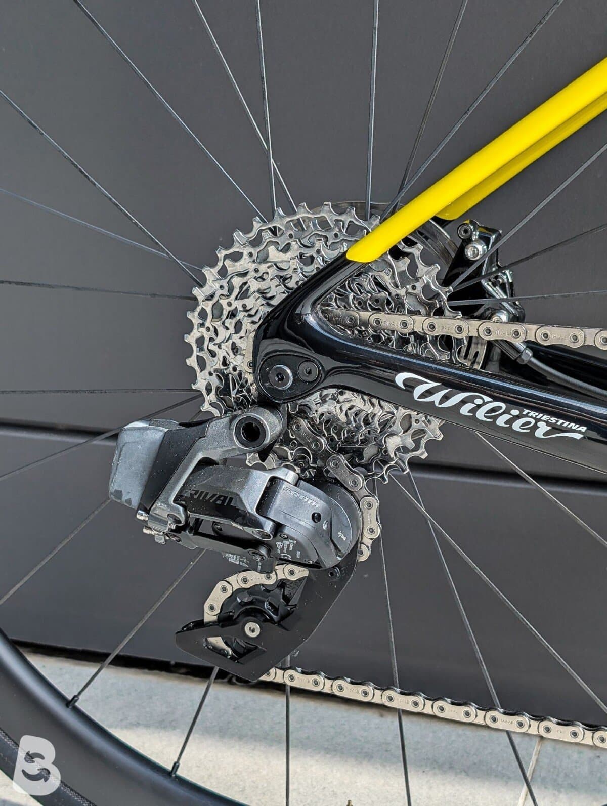 Wilier Garda Rival AXS 2024