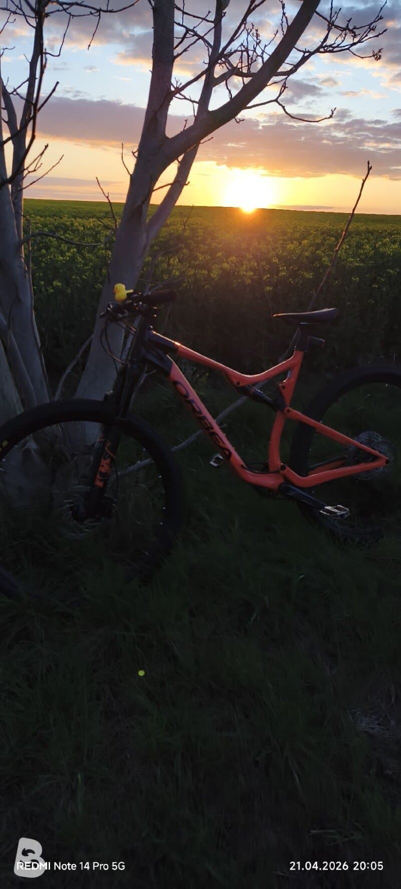 Orbea Oiz H30 2021