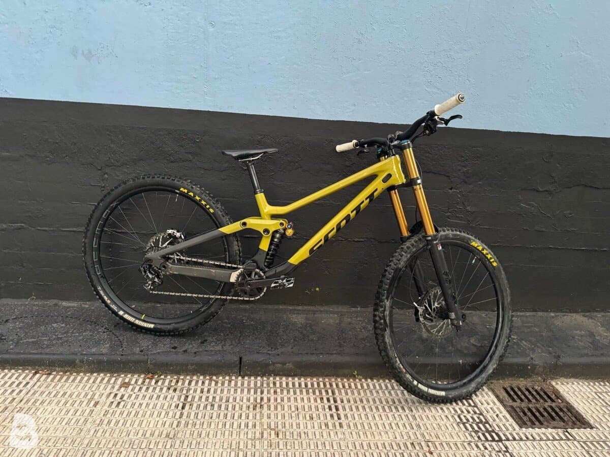 Scott Gambler 2024