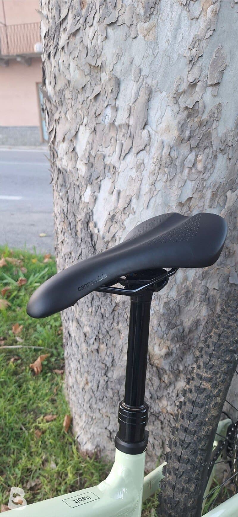 Cannondale Habit 4 2022