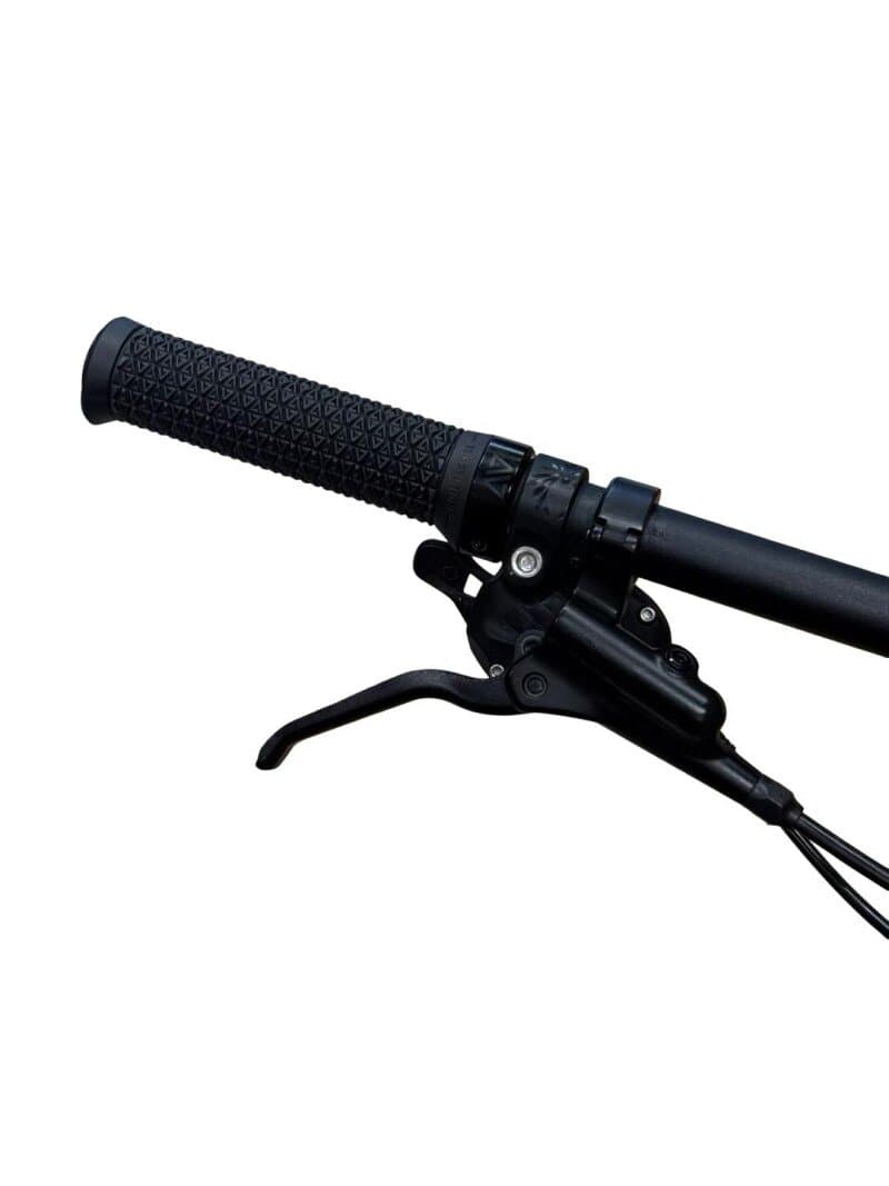 Corratec E-Power RS 160 Elite Sram SX 2022