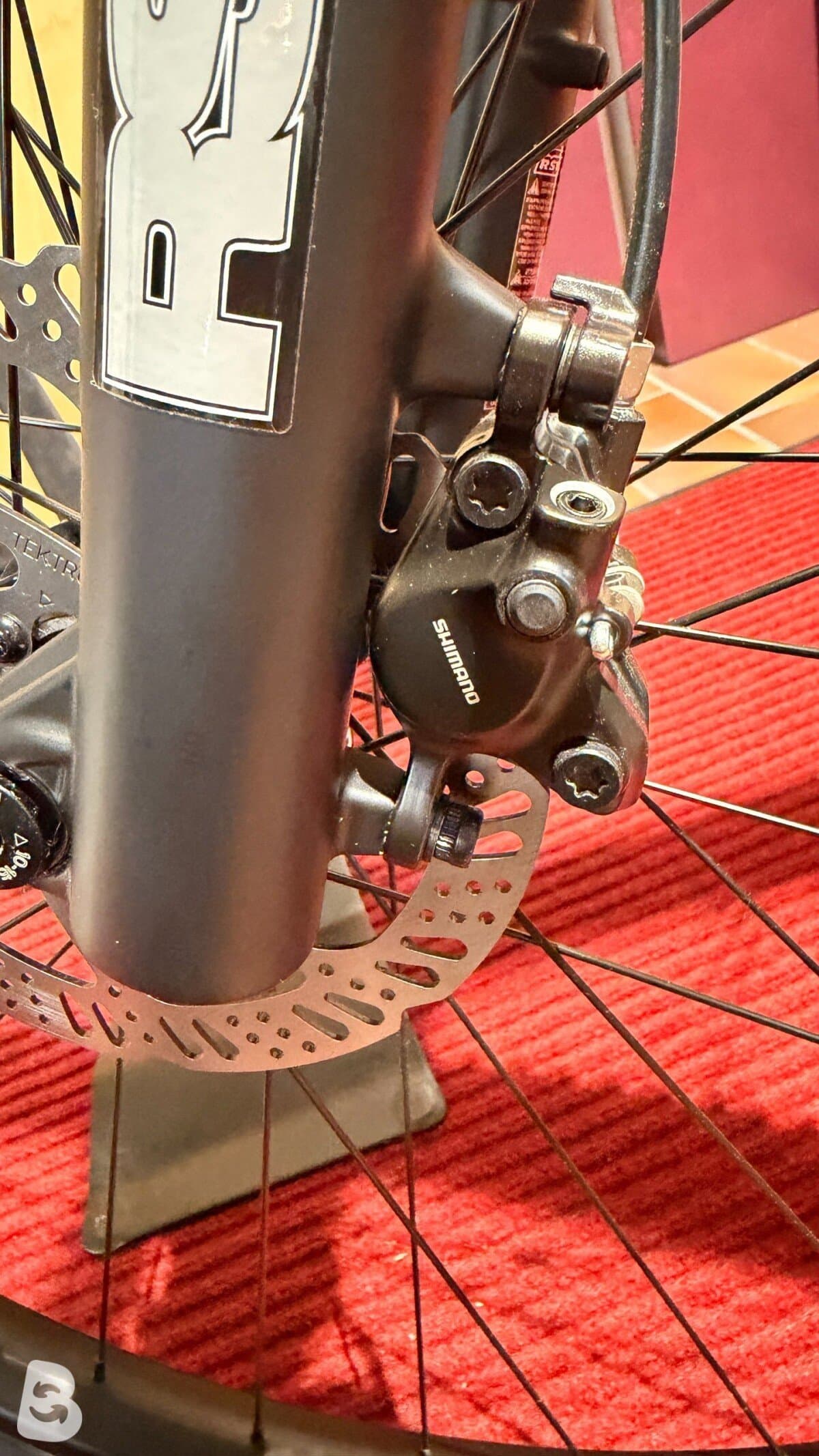 NS Bikes Eccentric Lite 2 2023