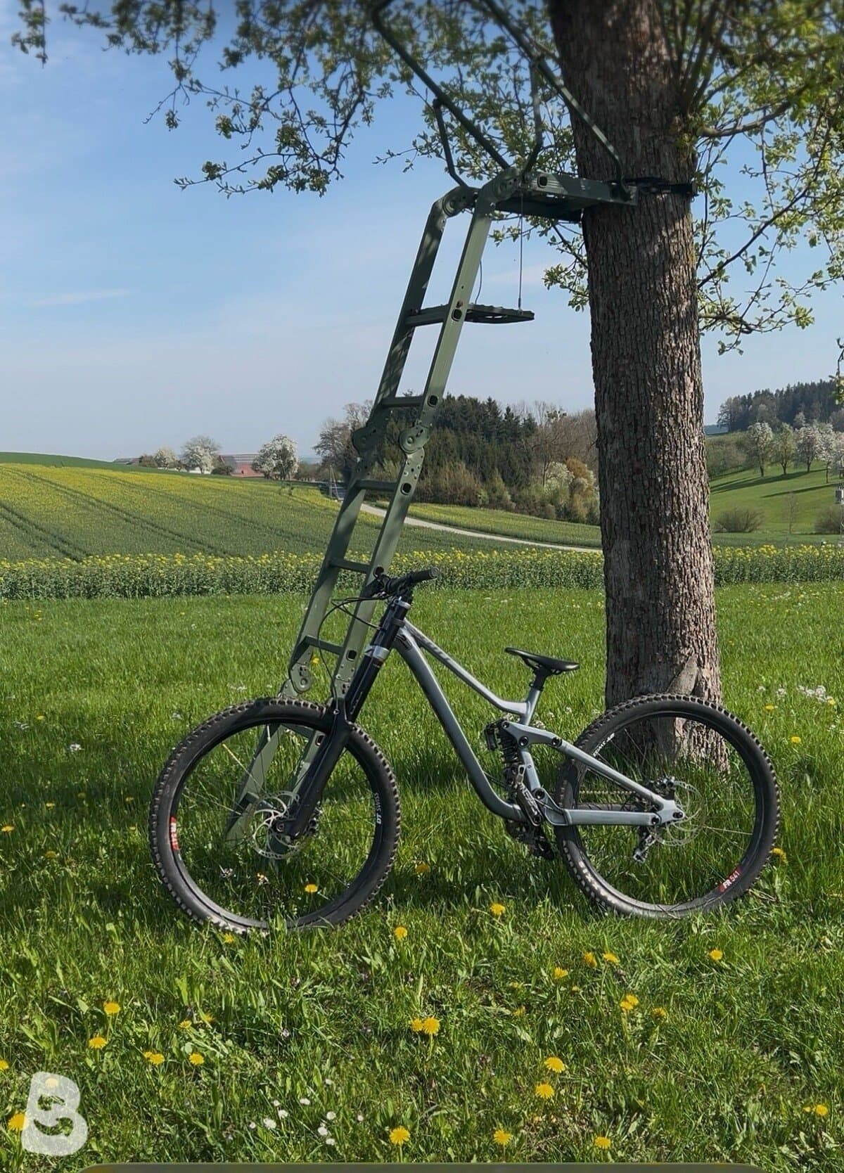 Scott Gambler 920 2024