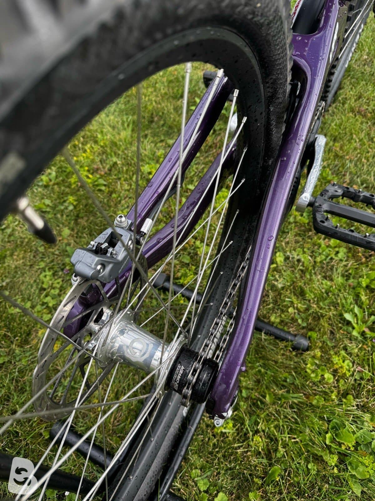 Santa Cruz V10 X01 MX / Carbon CC 2023
