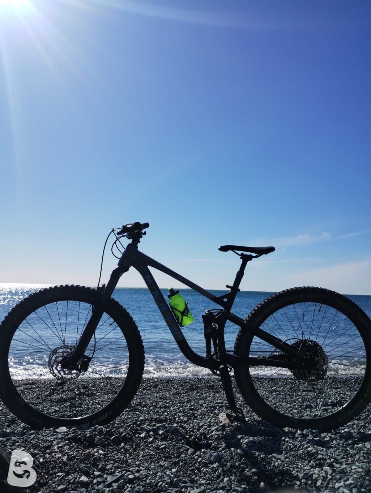 Marin Rift Zone 29" 1 2023