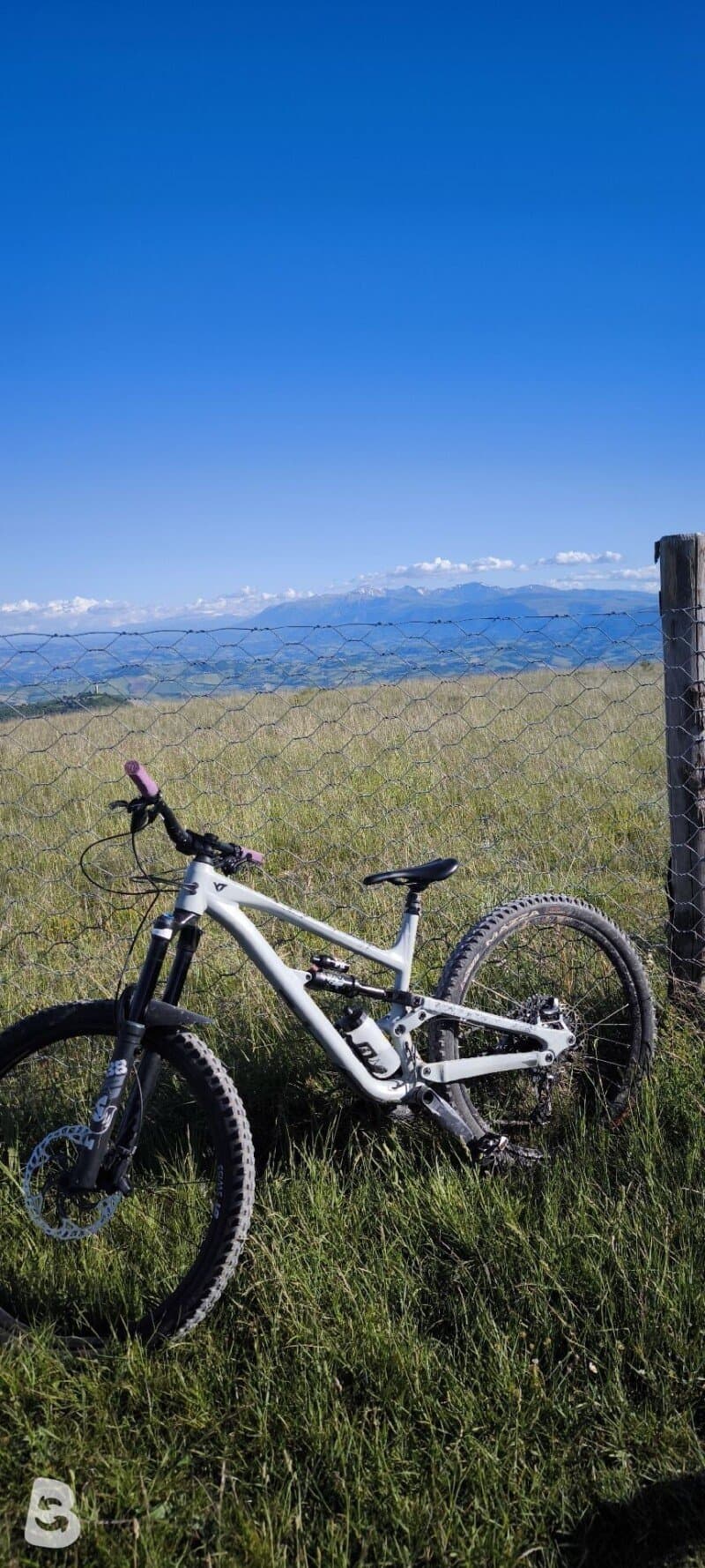 YT Industries Capra CORE 2 29 2024