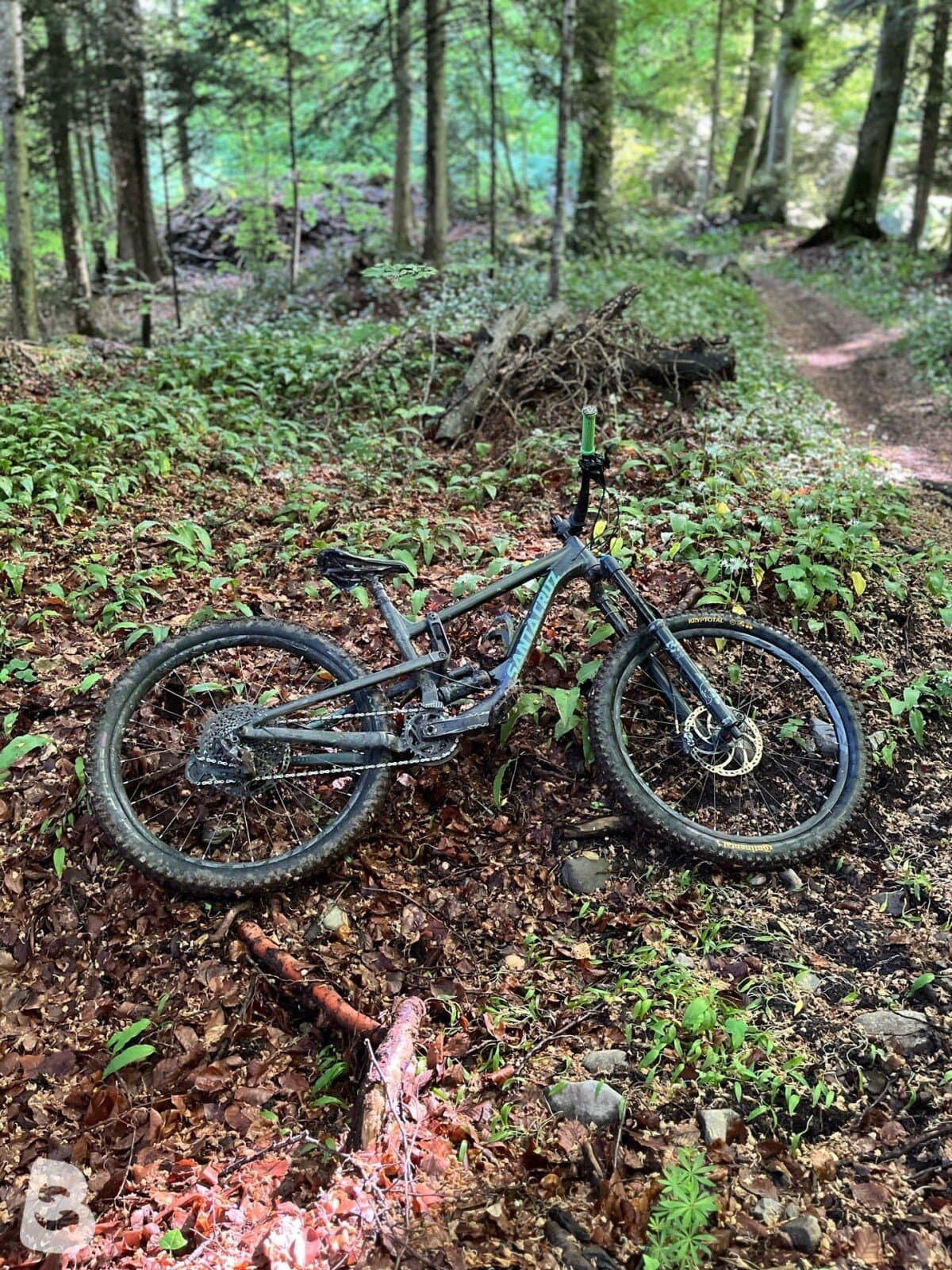 Santa Cruz Nomad 2019