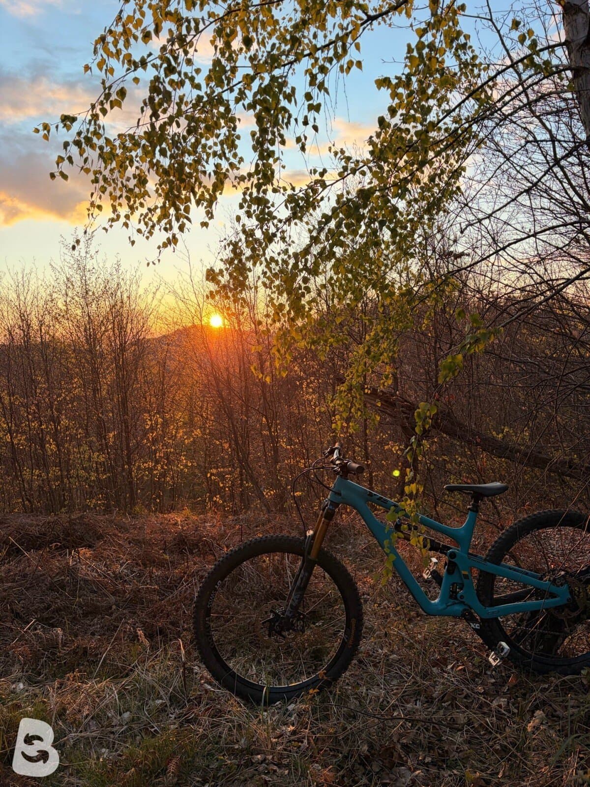 Yeti SB150 — T/Series / X01 2019