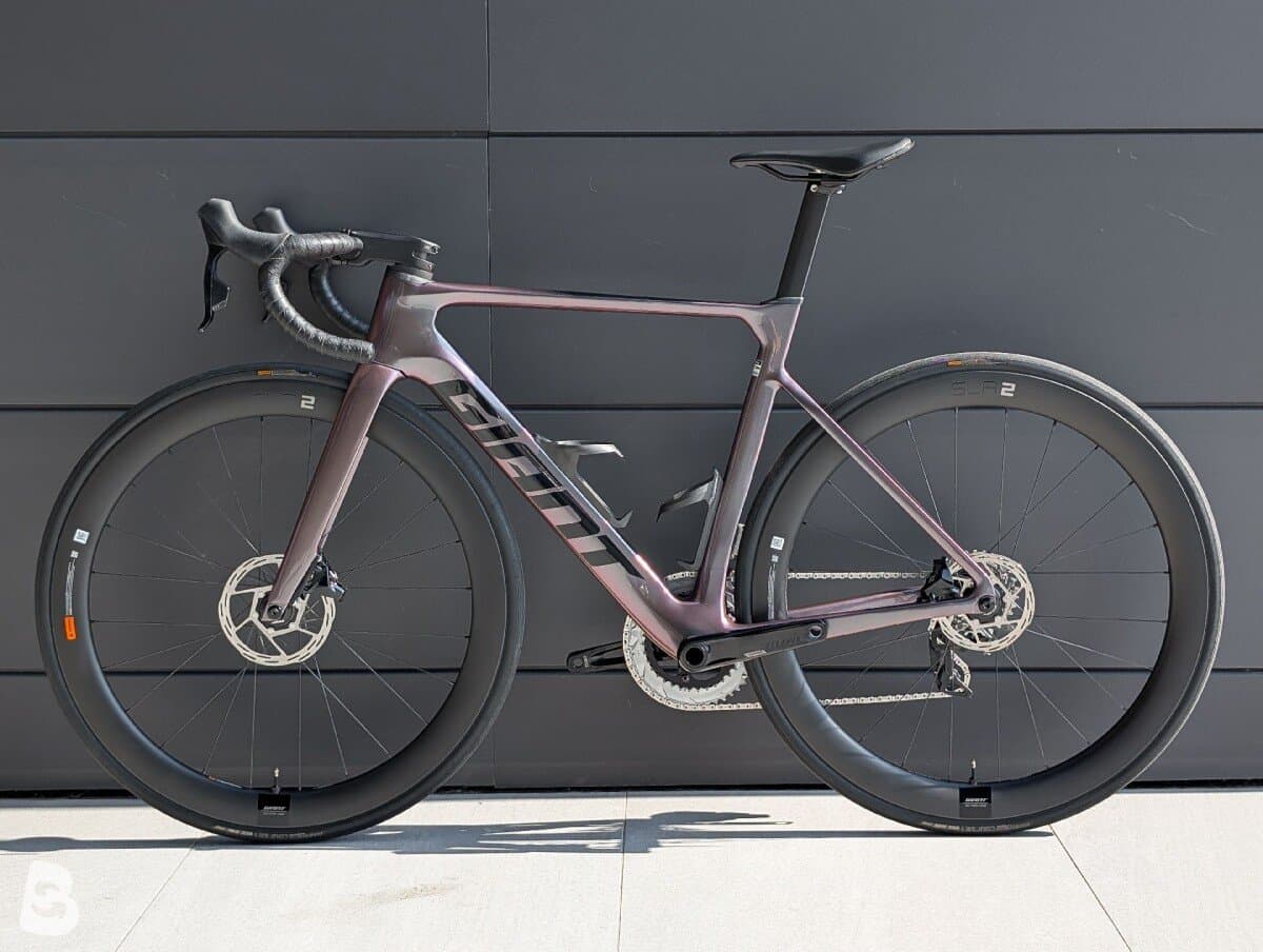 Giant Propel, Advanced 1 2024