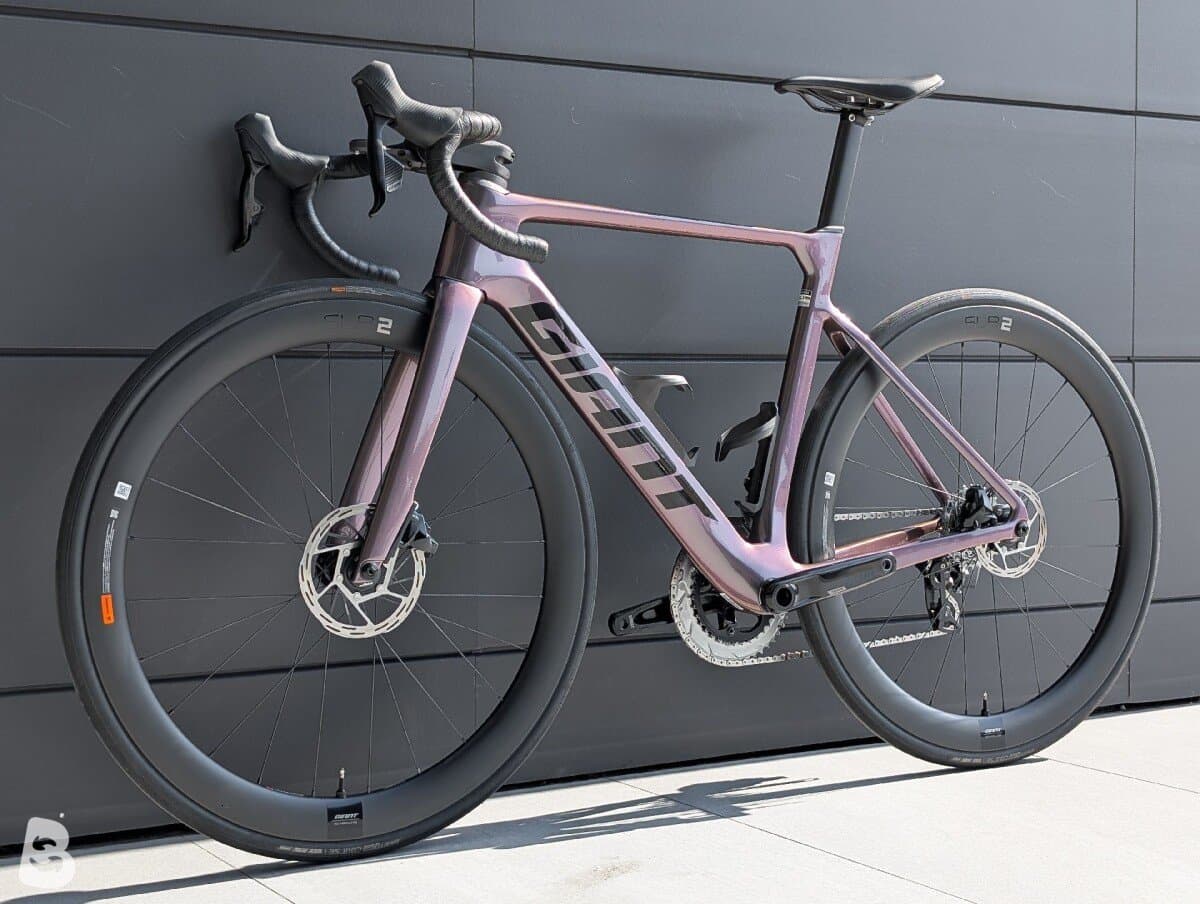 Giant Propel, Advanced 1 2024