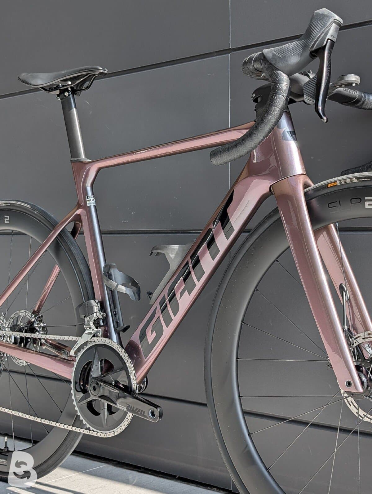 Giant Propel, Advanced 1 2024