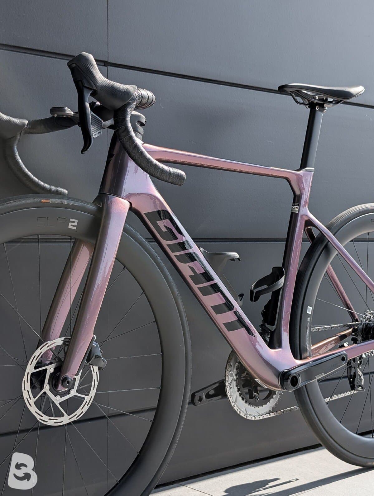 Giant Propel, Advanced 1 2024