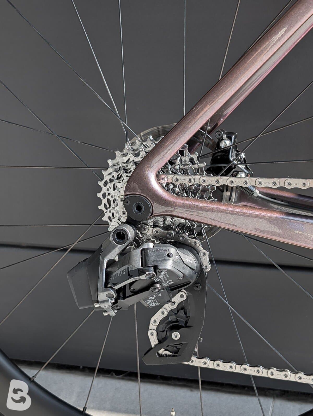 Giant Propel, Advanced 1 2024