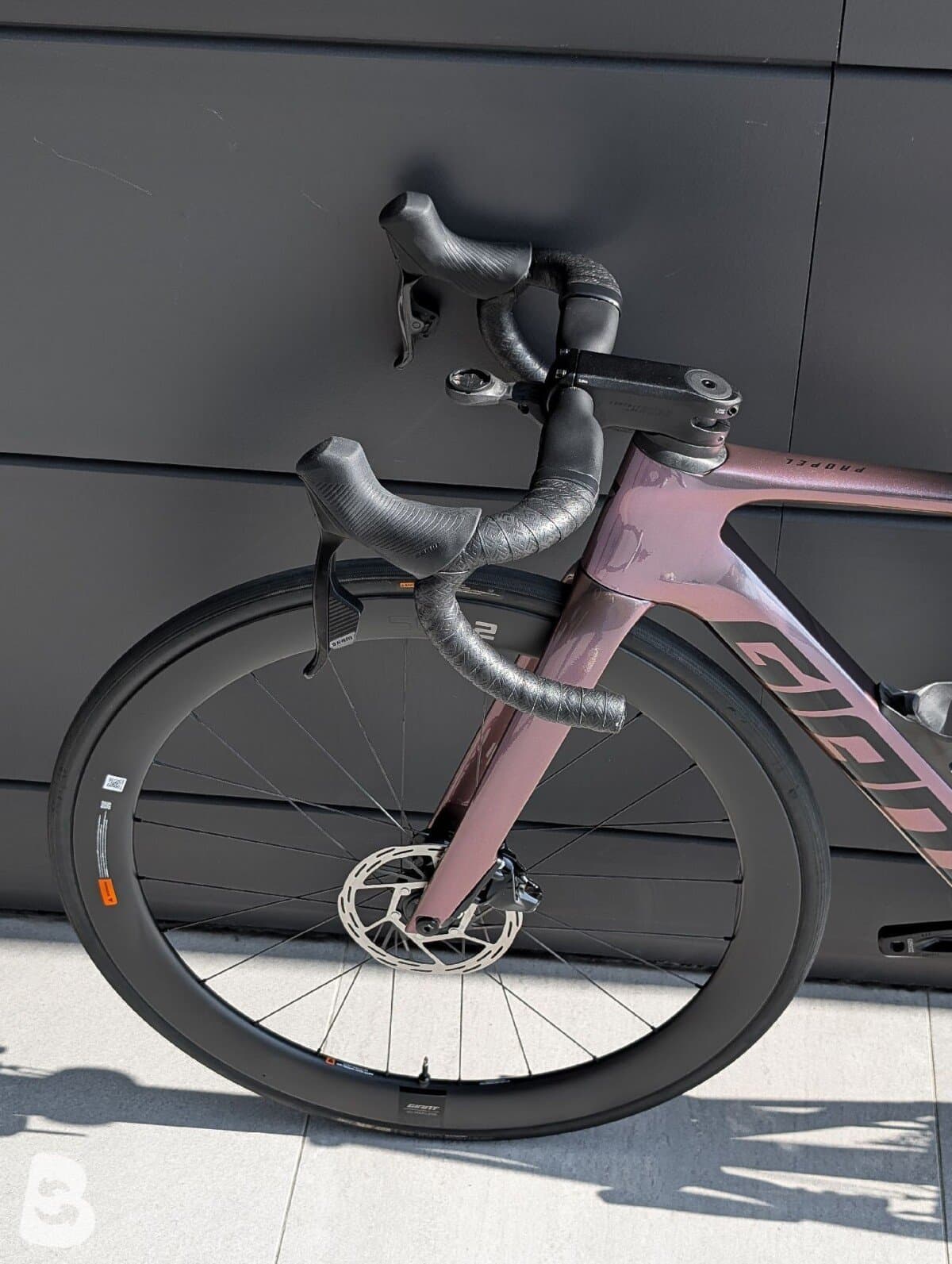 Giant Propel, Advanced 1 2024