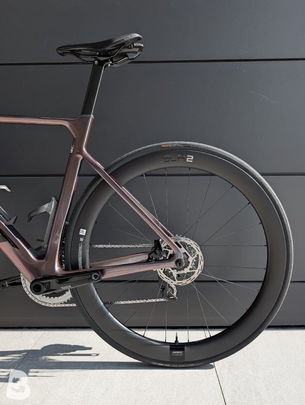 Giant Propel, Advanced 1 2024