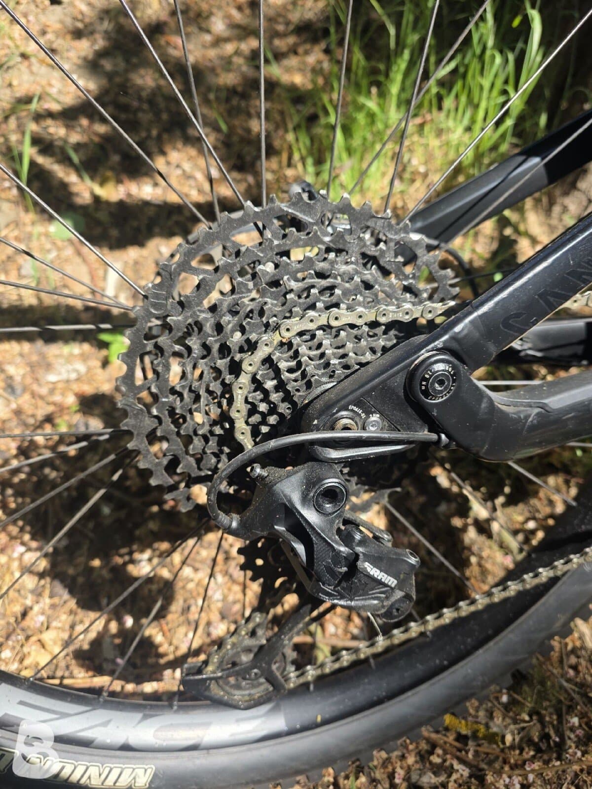 Canyon Torque Al 6 2021