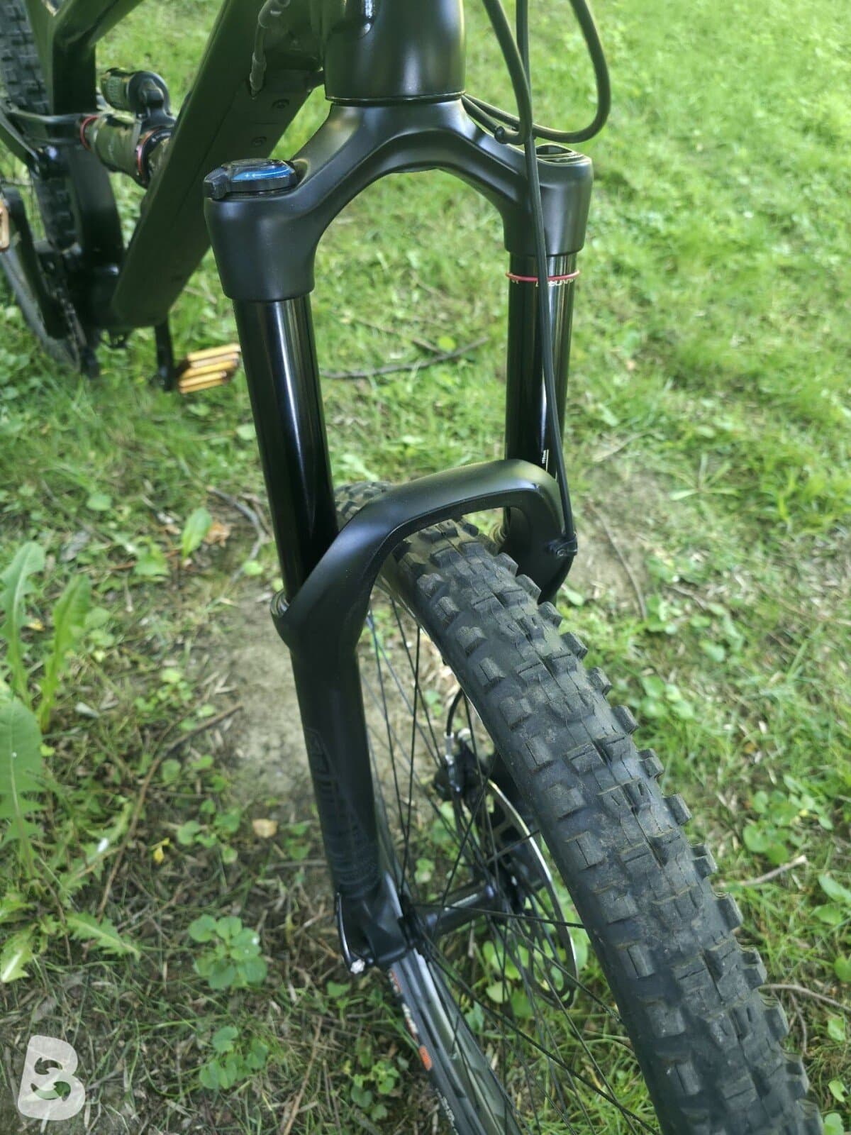 Canyon Torque Al 6 2021