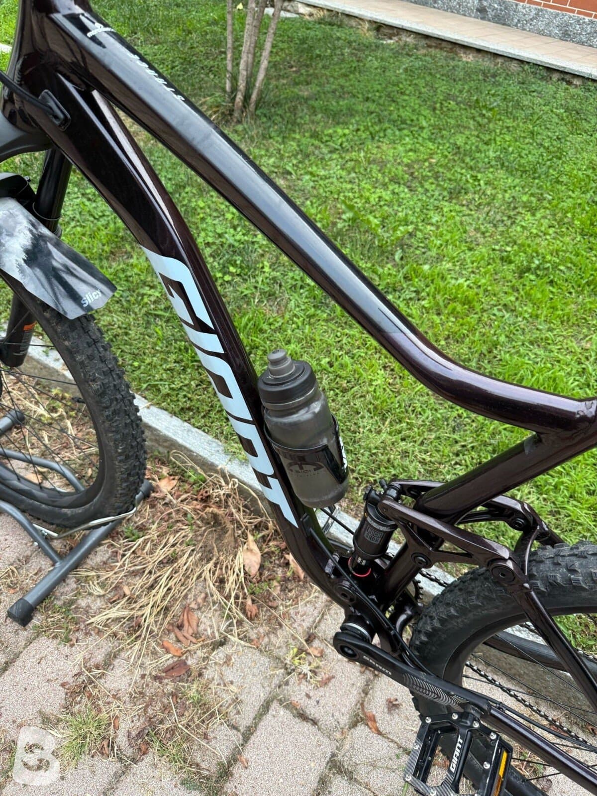 Giant Stance 1 2025