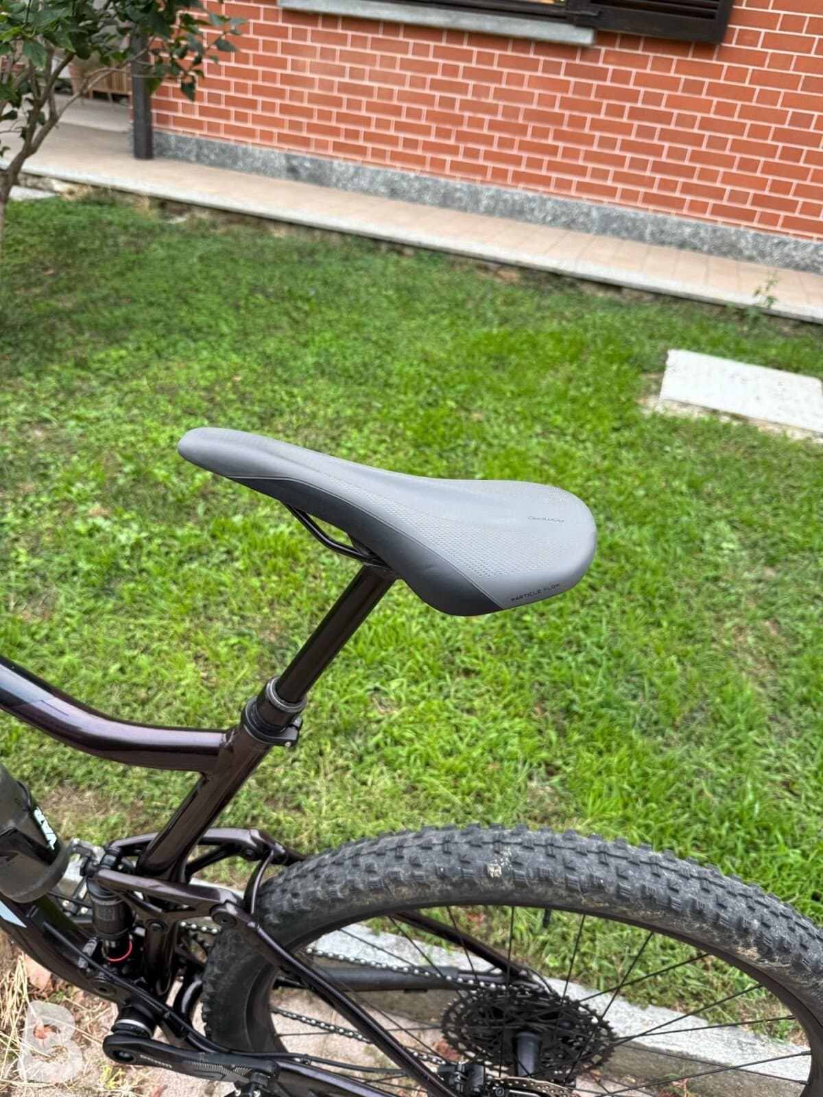 Giant Stance 1 2025