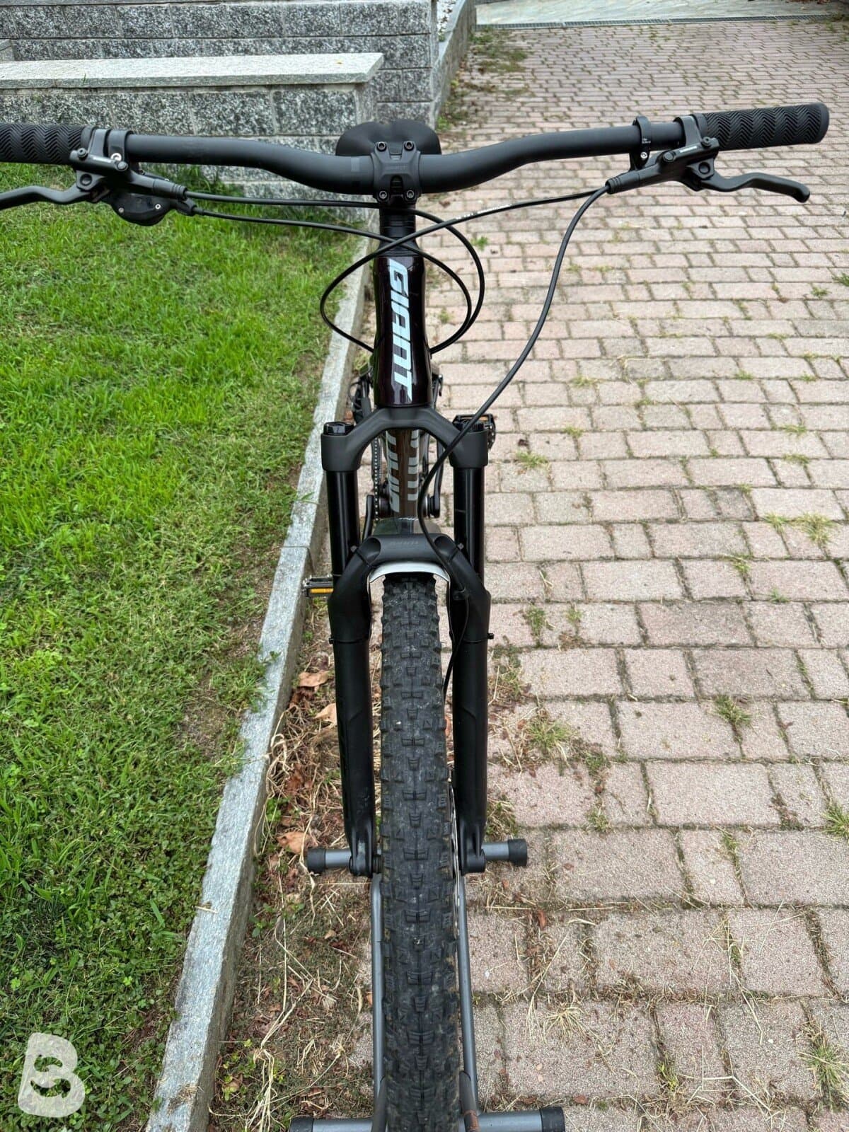Giant Stance 1 2025