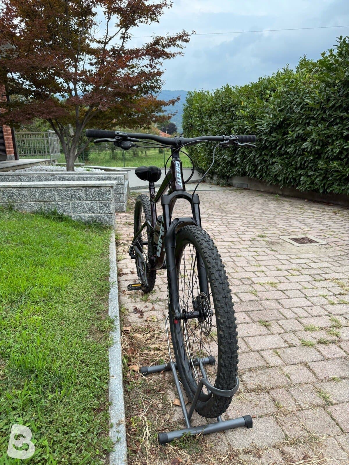 Giant Stance 1 2025