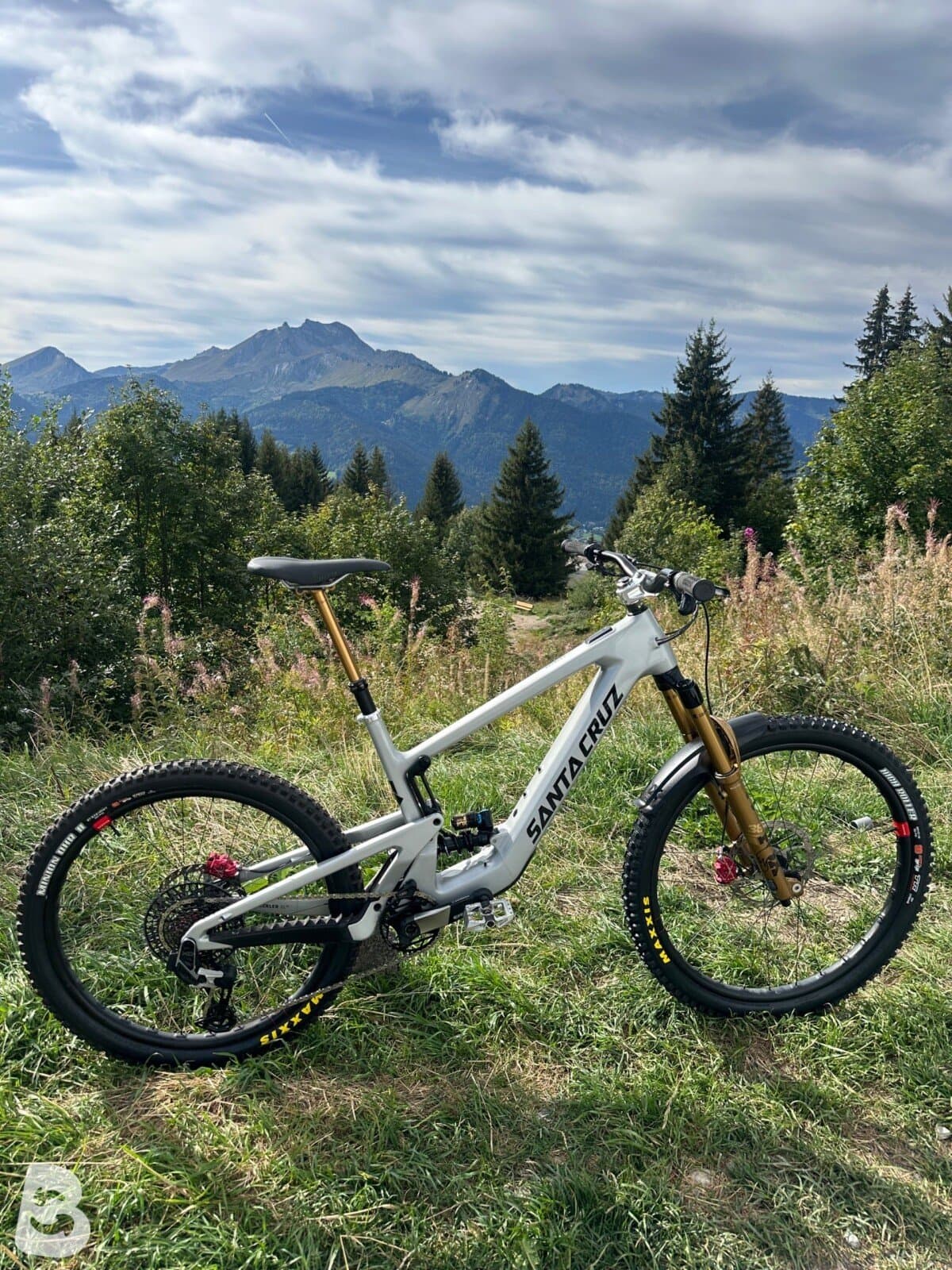 Santa Cruz HECKLER SL X0 AXS RSV / Carbon CC 2024