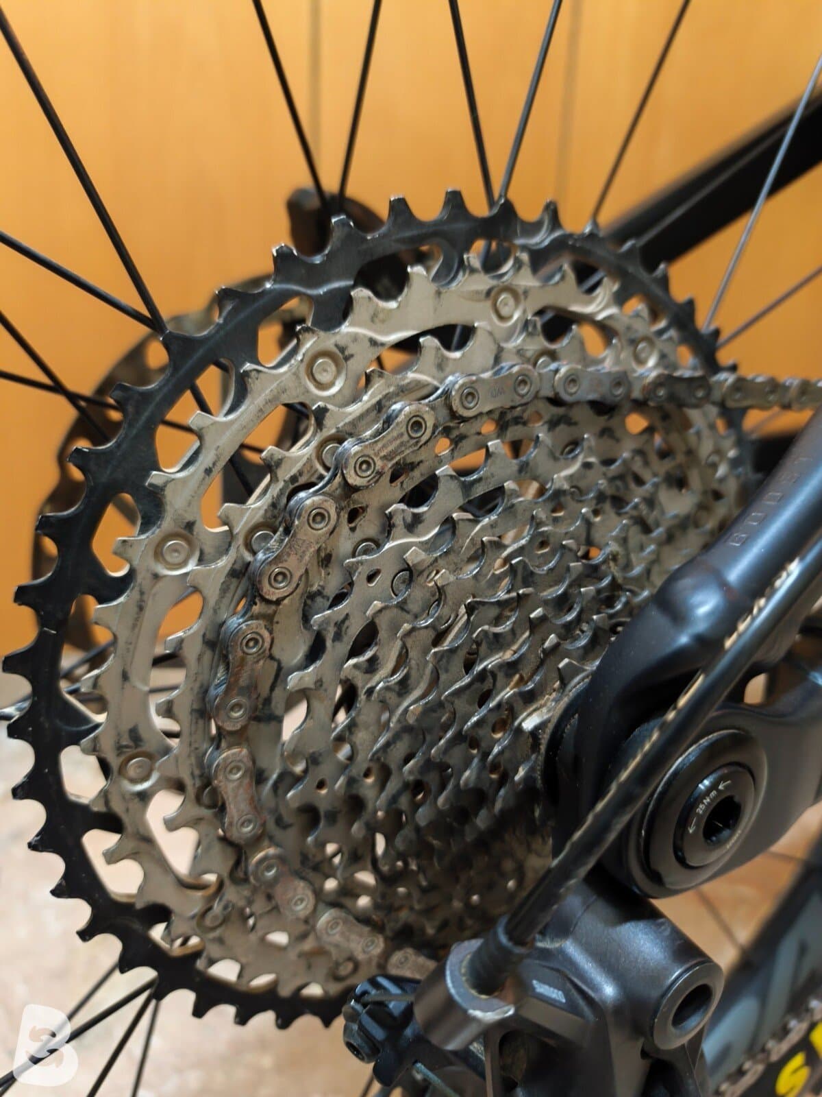 Orbea Rise LT H10 2025
