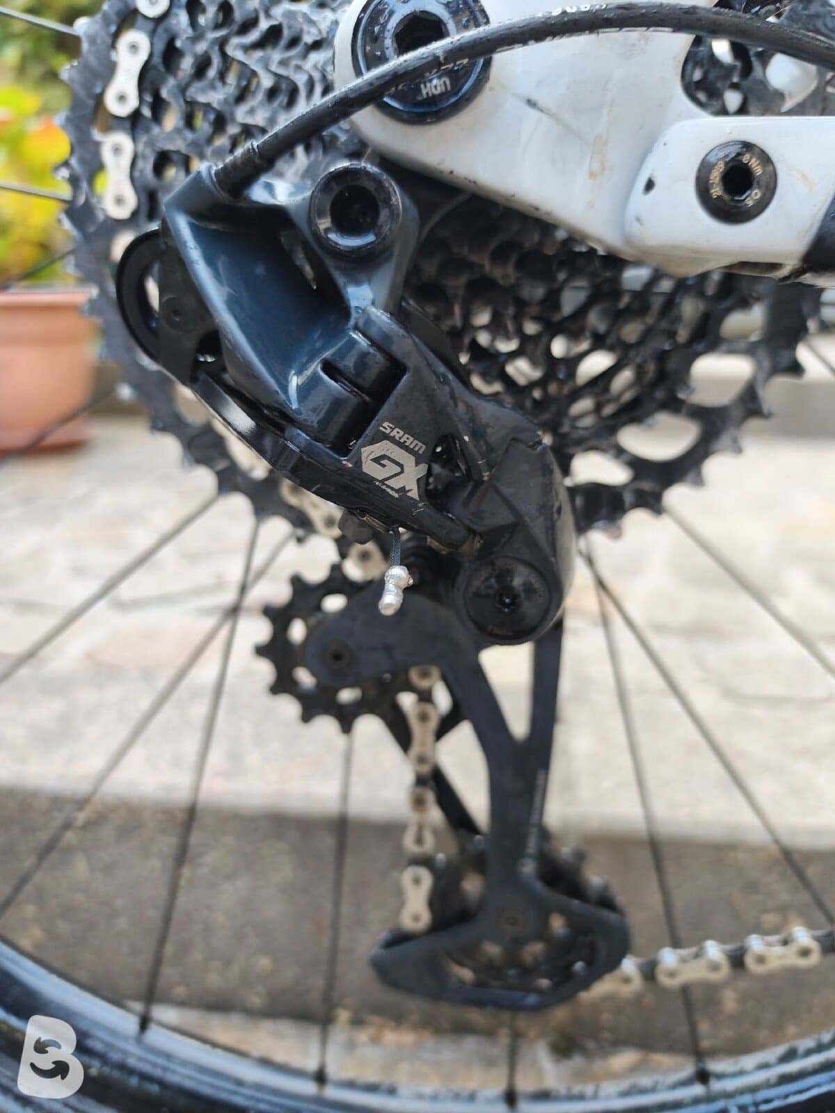 Cube STEREO ONE55 C:62, RACE 29 2023
